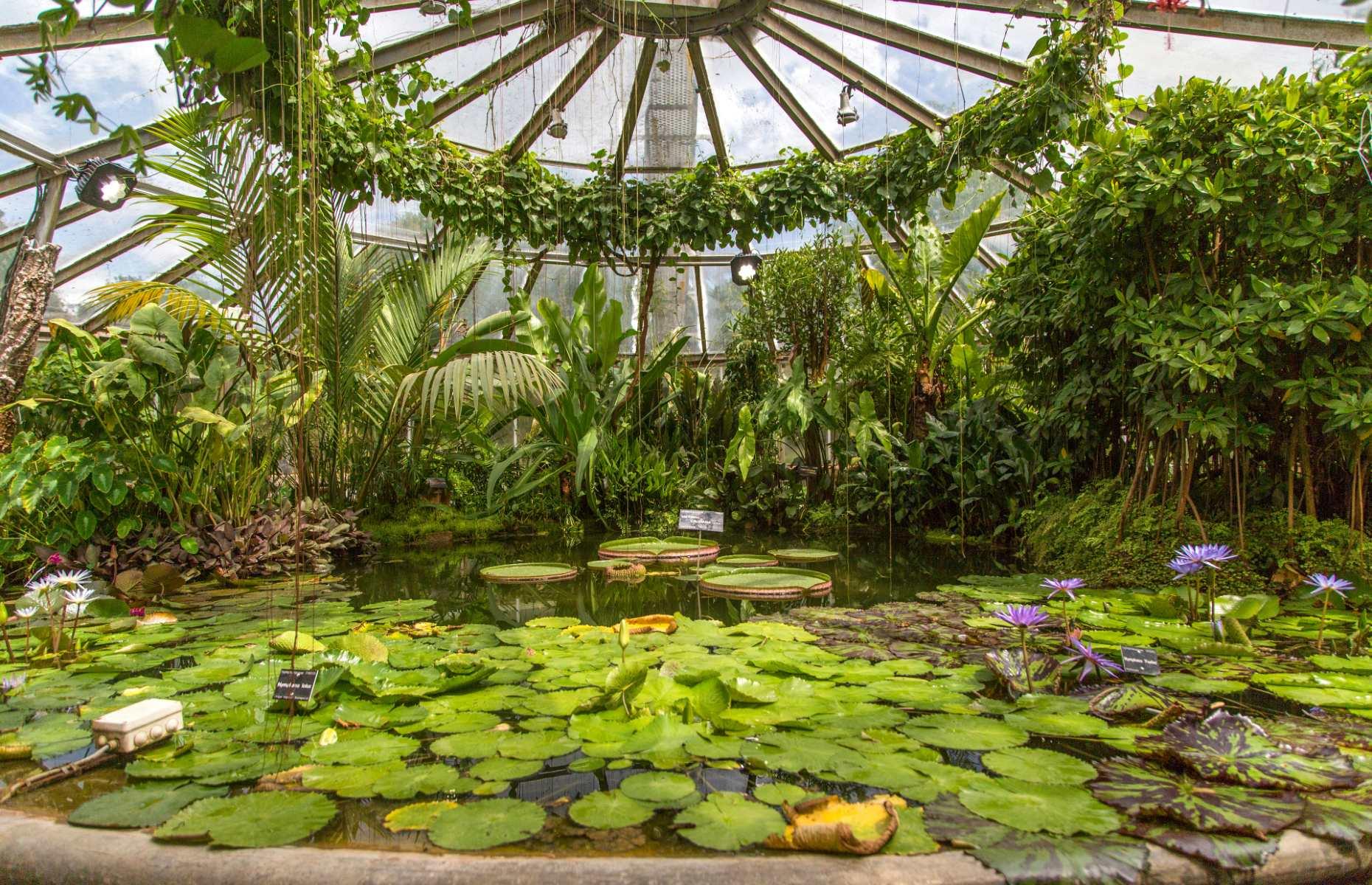 Jardin Botanique de Lyon, Lyon, France