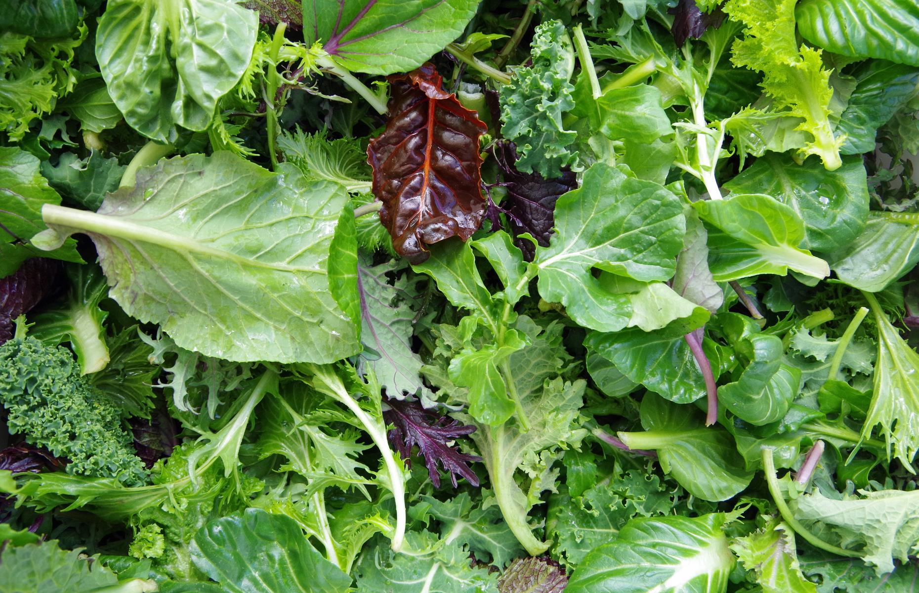8. Choose deeper green leaves