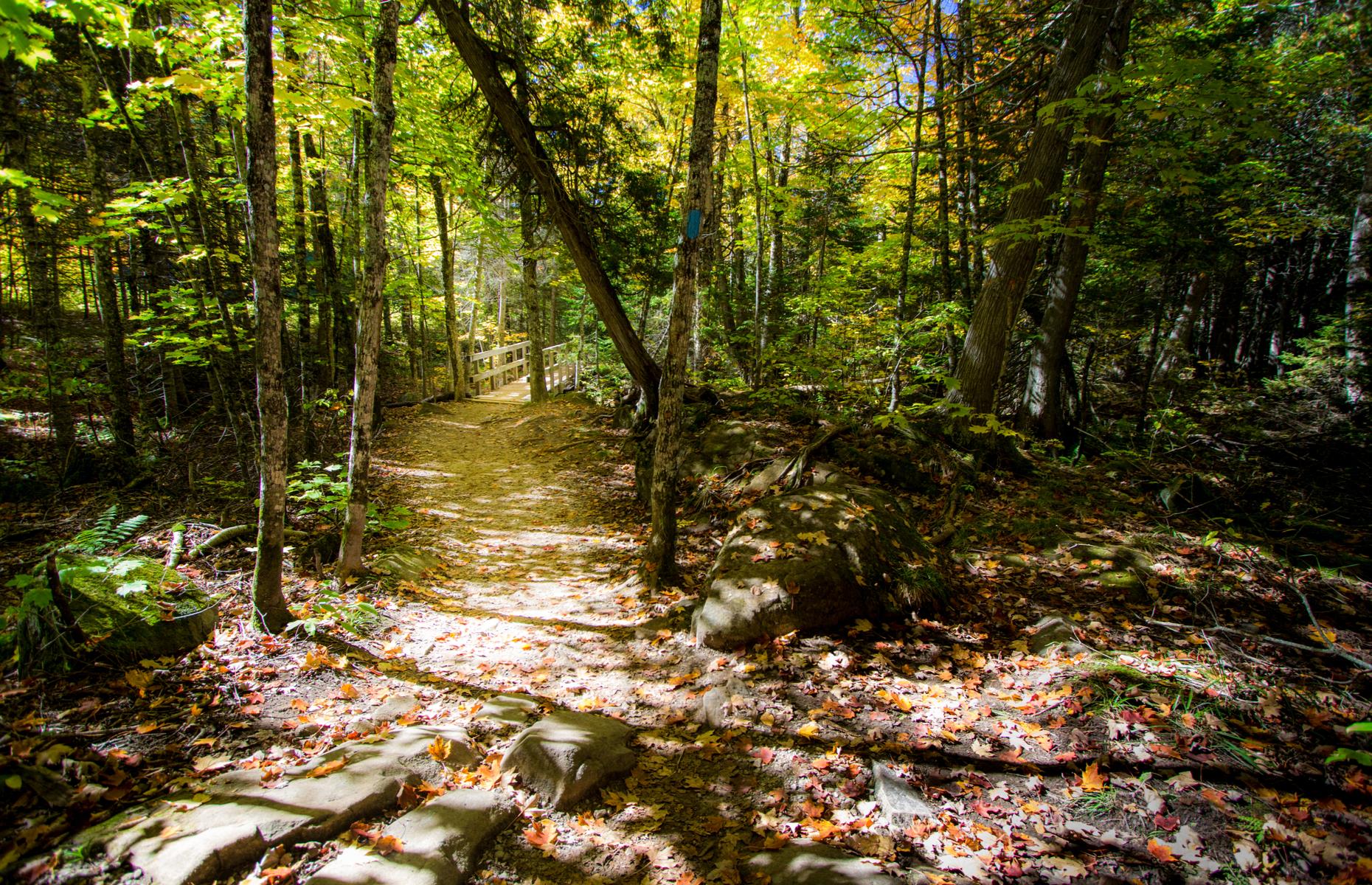 North Country Trail