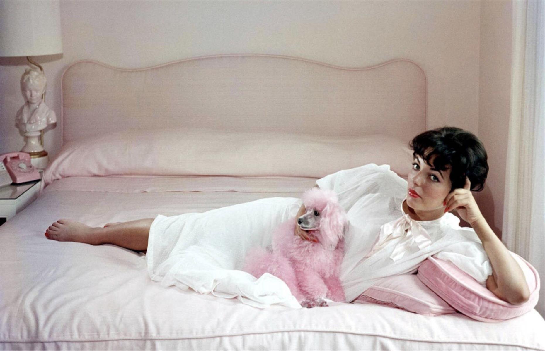 1955: Dame Joan Collins and her pink poodle