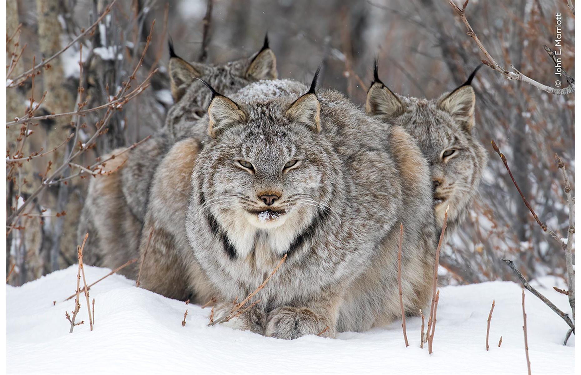 On Watch