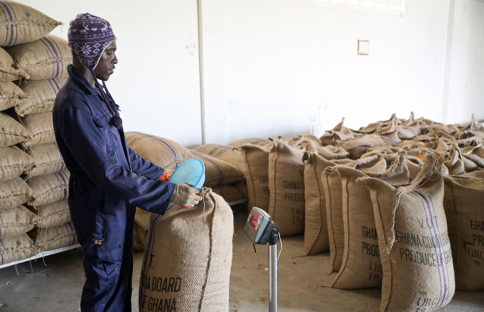 Cocoa beans for crude oil