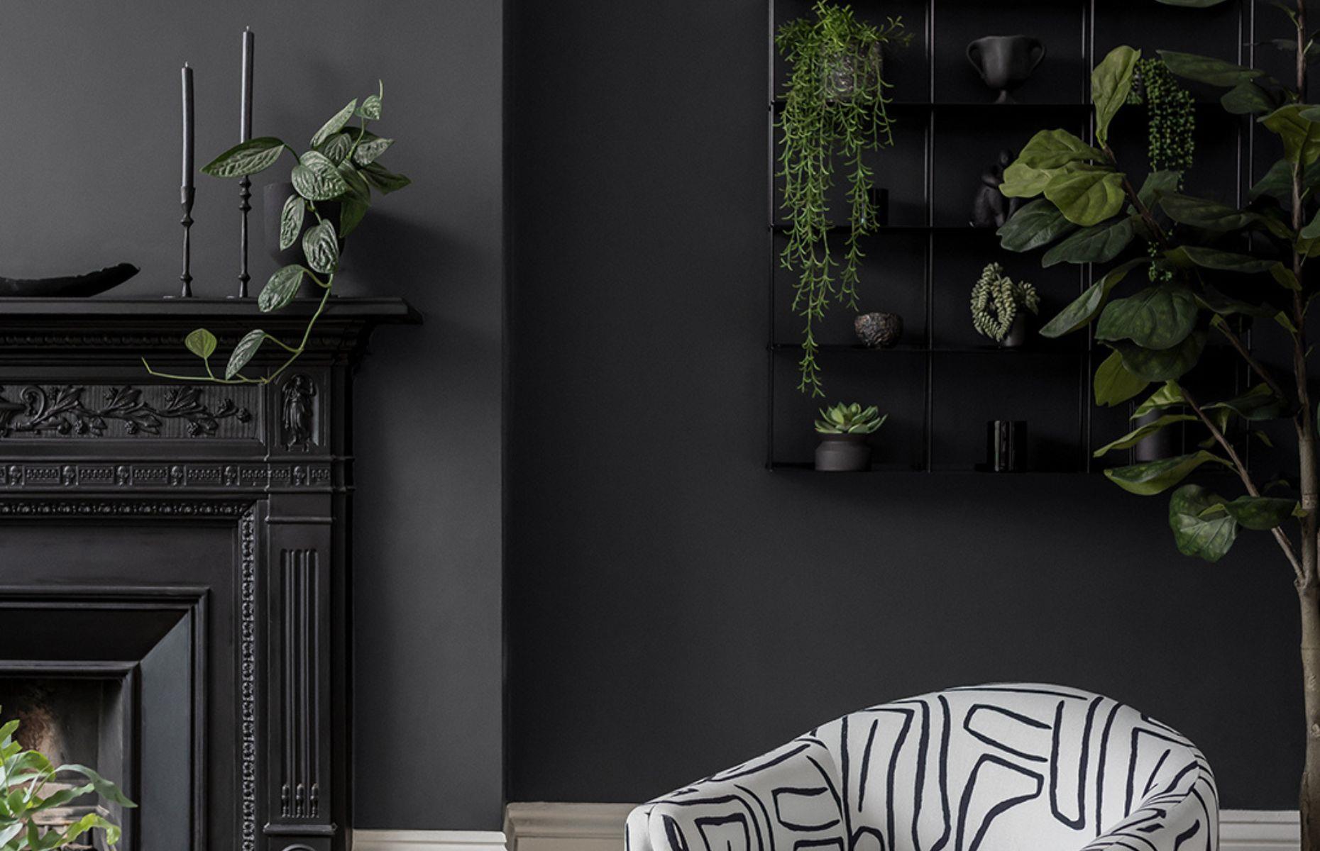 Paint your walls 