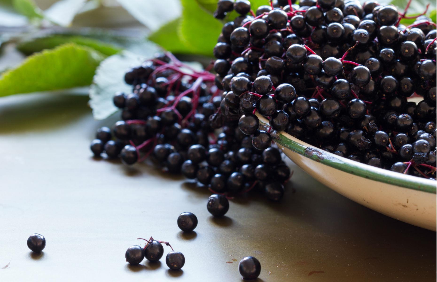 Elderberries 