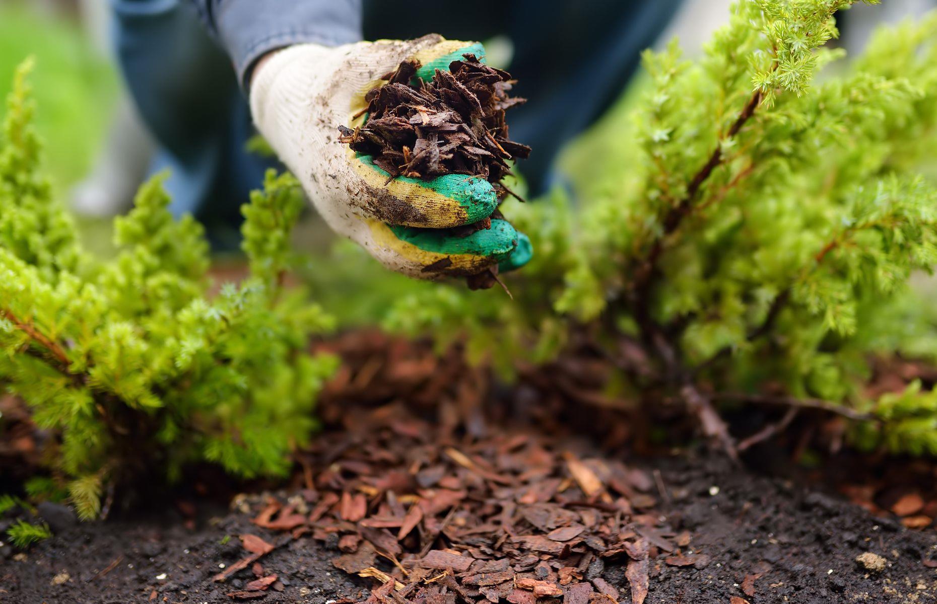 Use mulch wisely