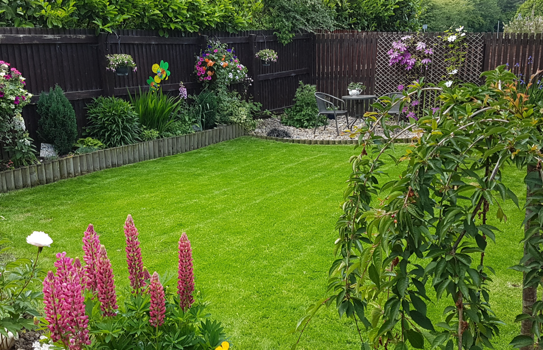 How to start a garden on a budget