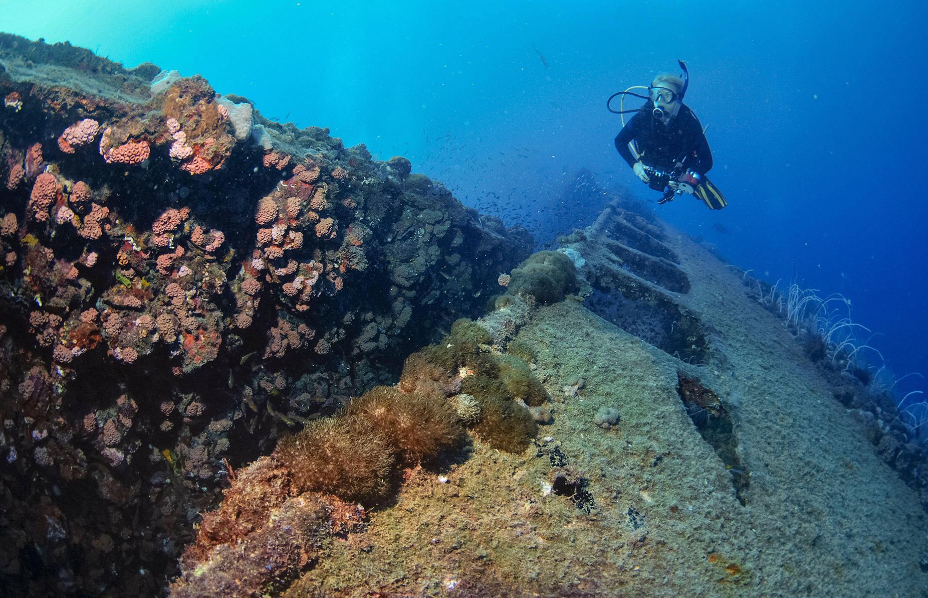 SS Yongala (sank in 1911)
