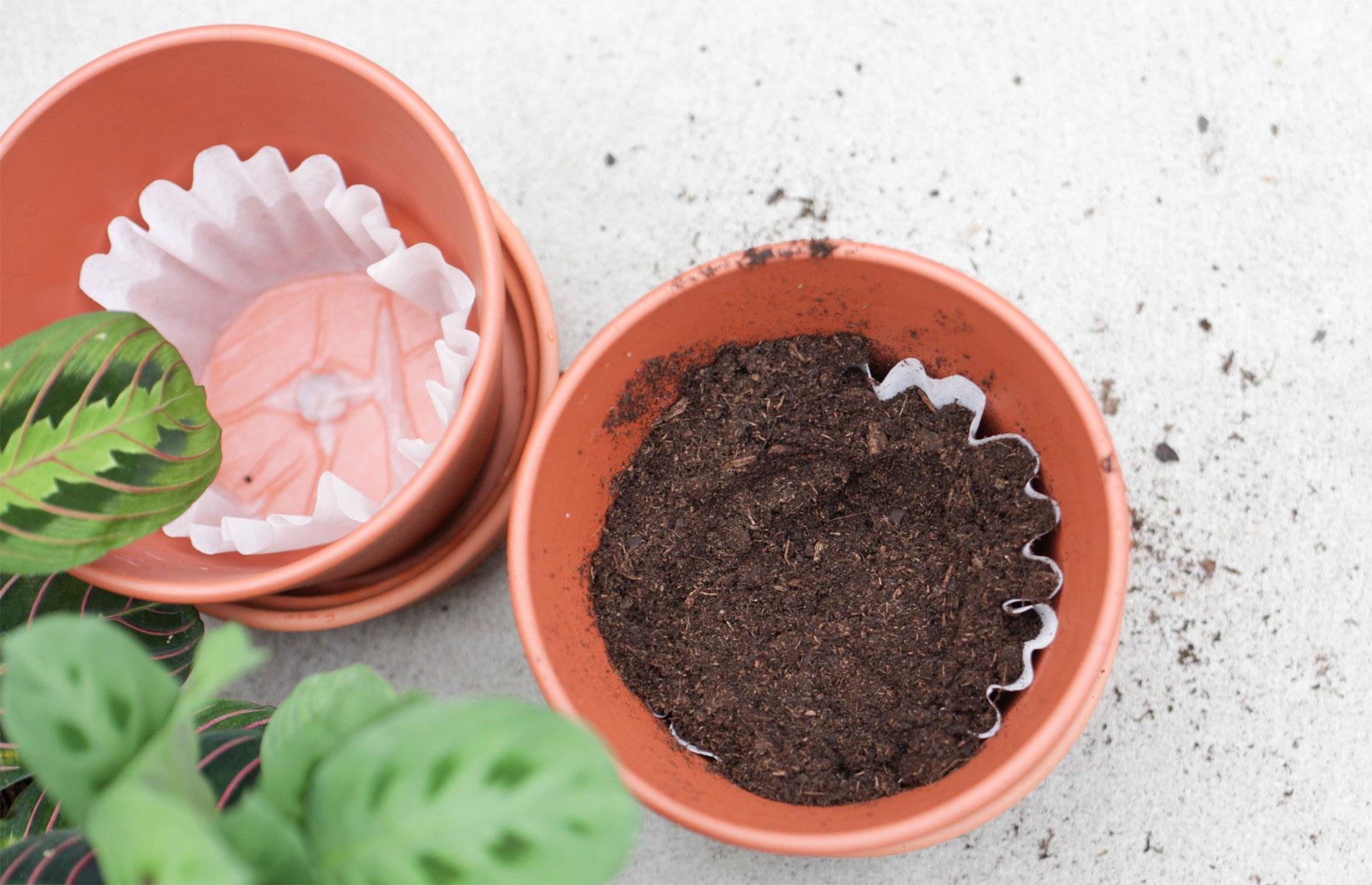 Line plant pots with coffee filters