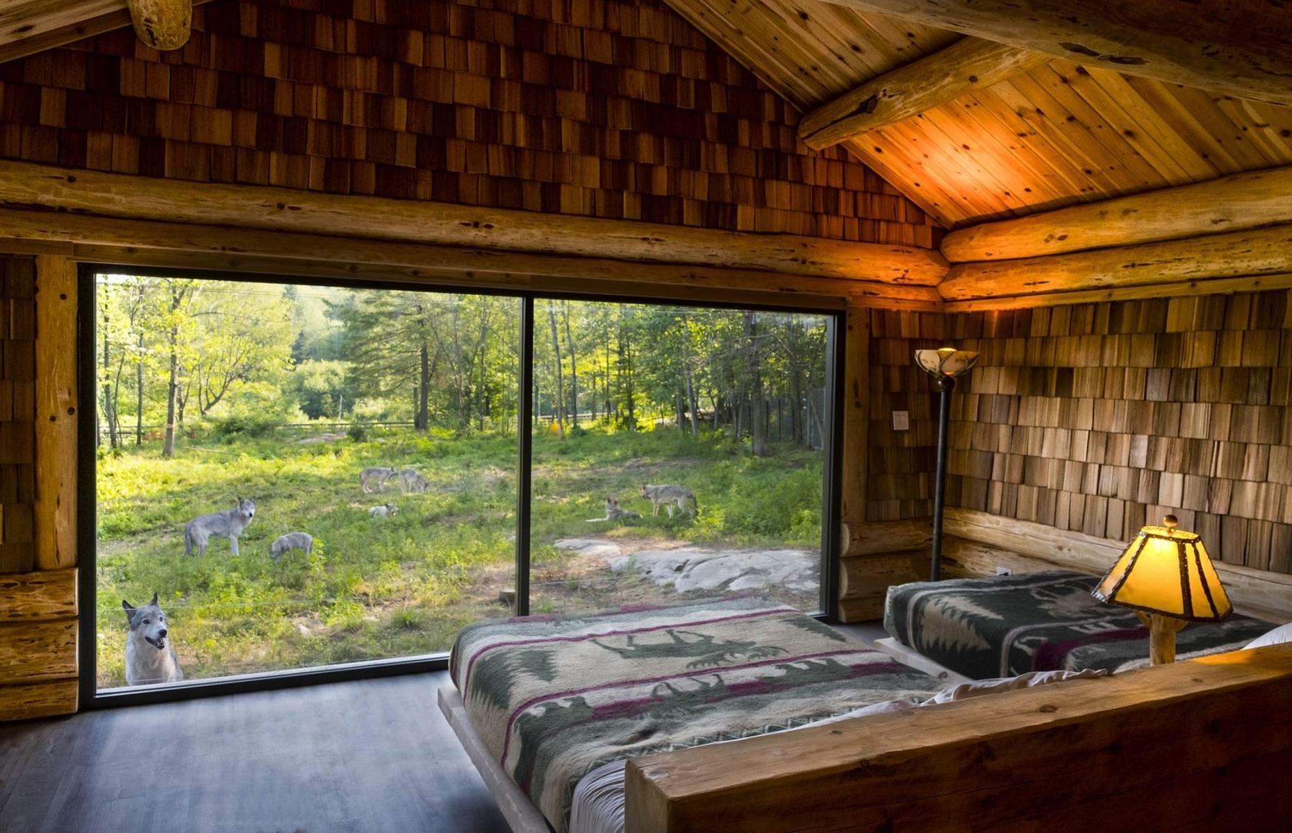 Spend the night with wolves, Parc Omega, Quebec