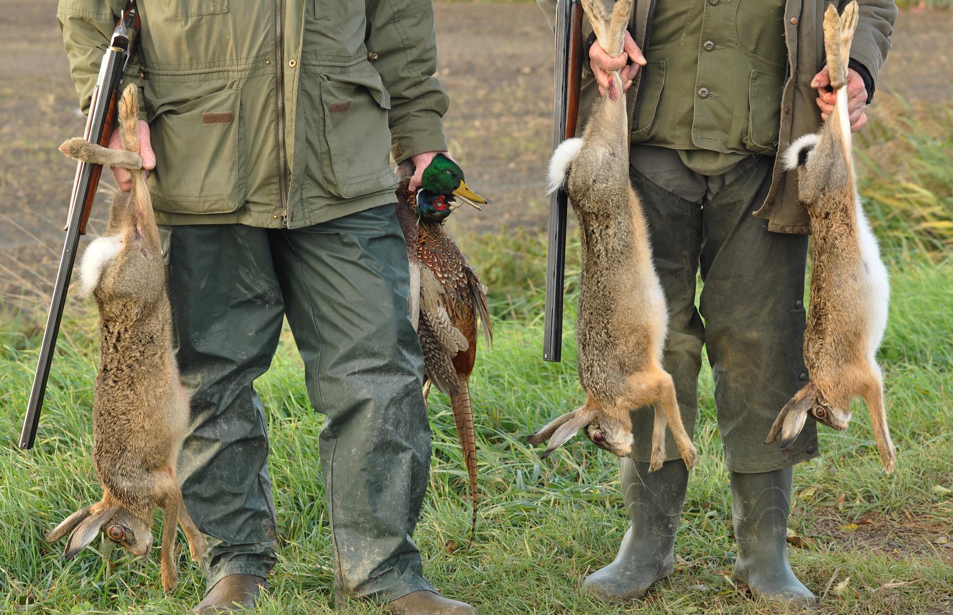 Wild game