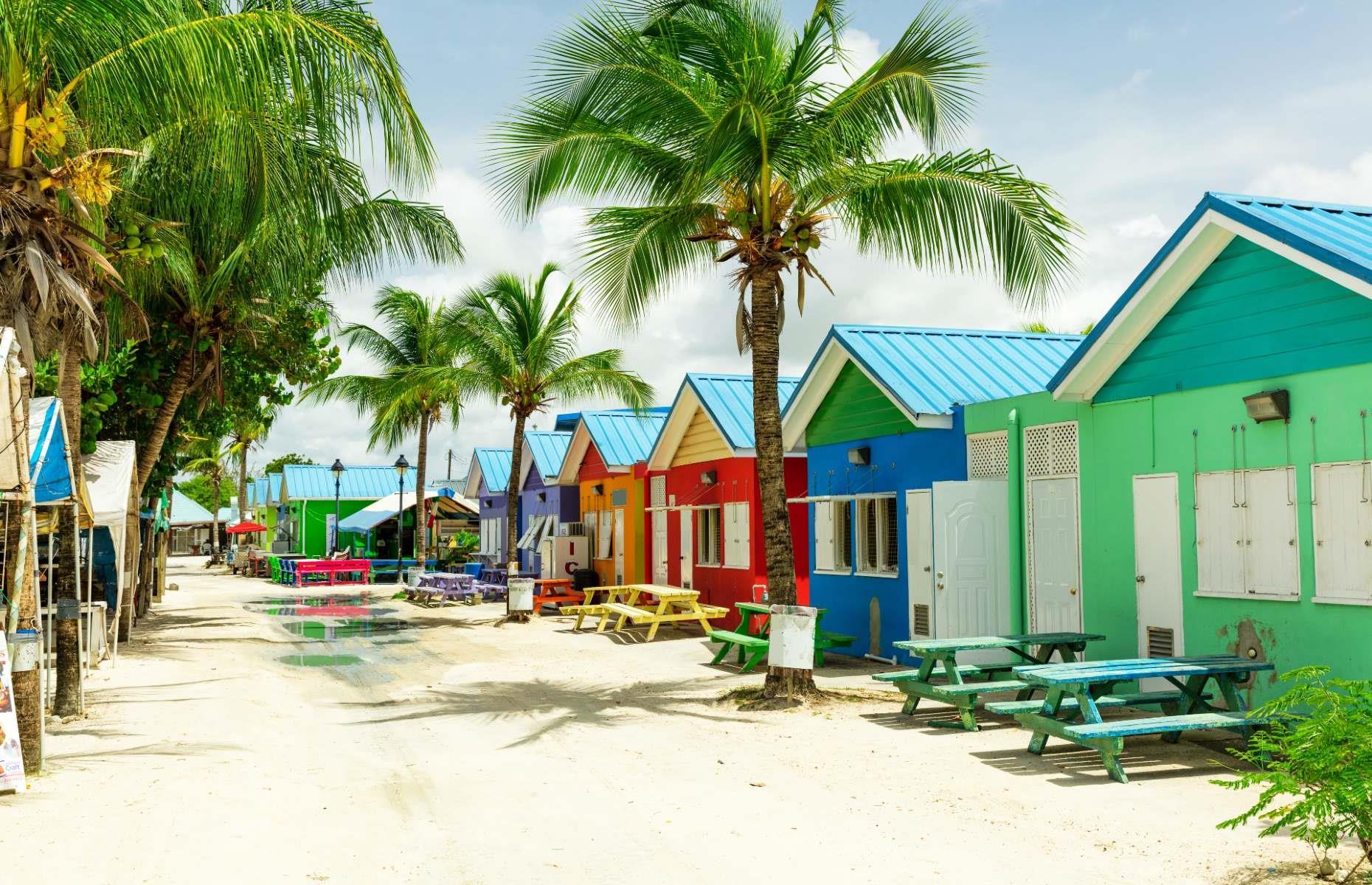 The Caribbean