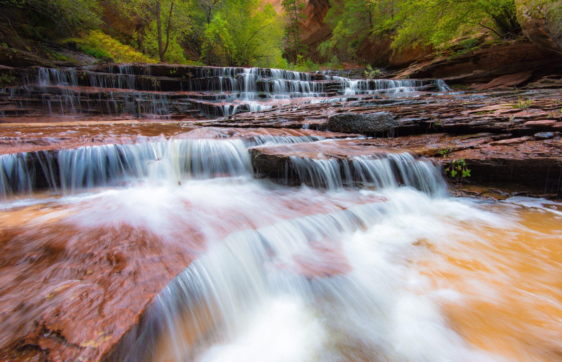 Left Fork (The Subway) of North Creek, Zion National Park, Utah