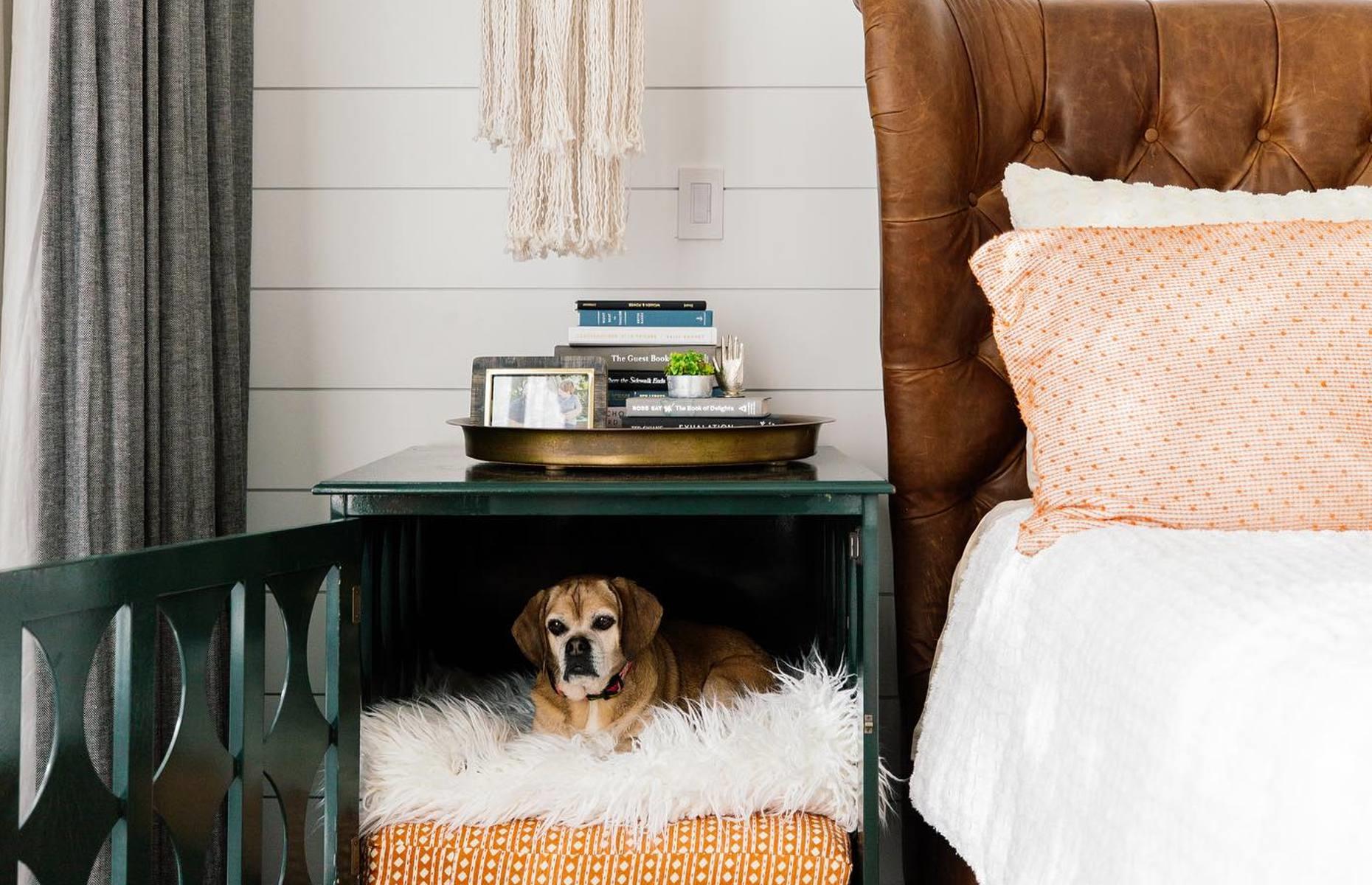 Part of the fur-niture