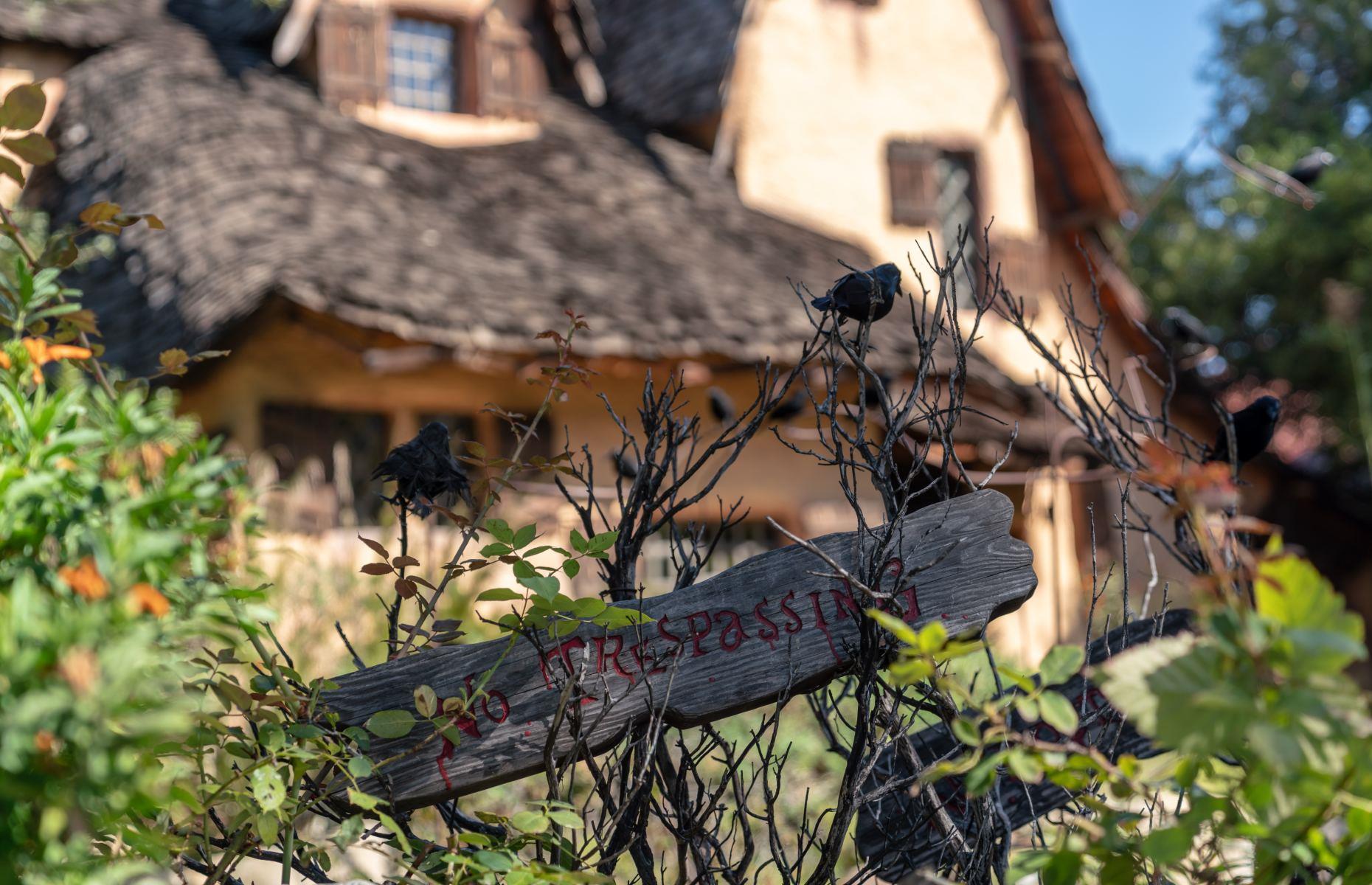 America's bewitching history