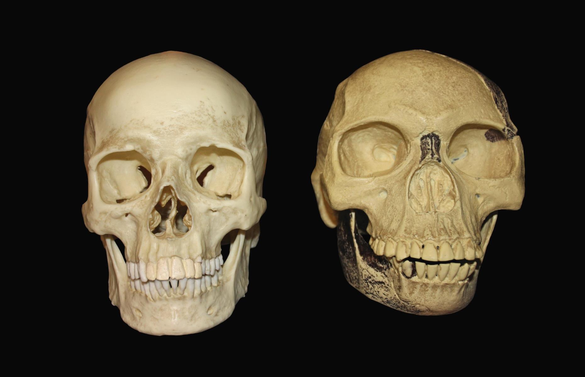 Piltdown Man, Sussex, UK