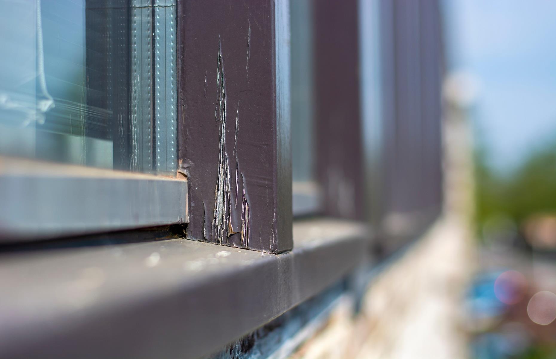 Protect exterior paintwork
