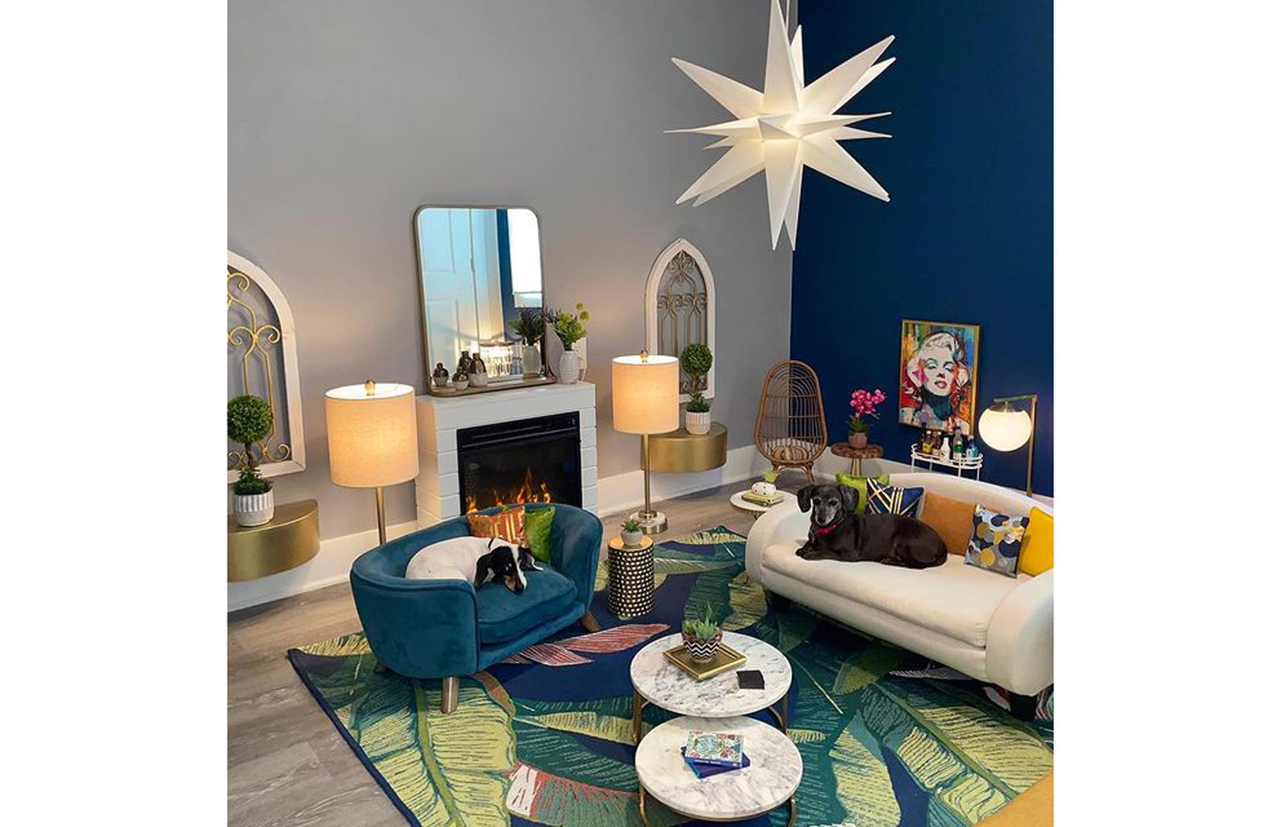 A pawesome living room