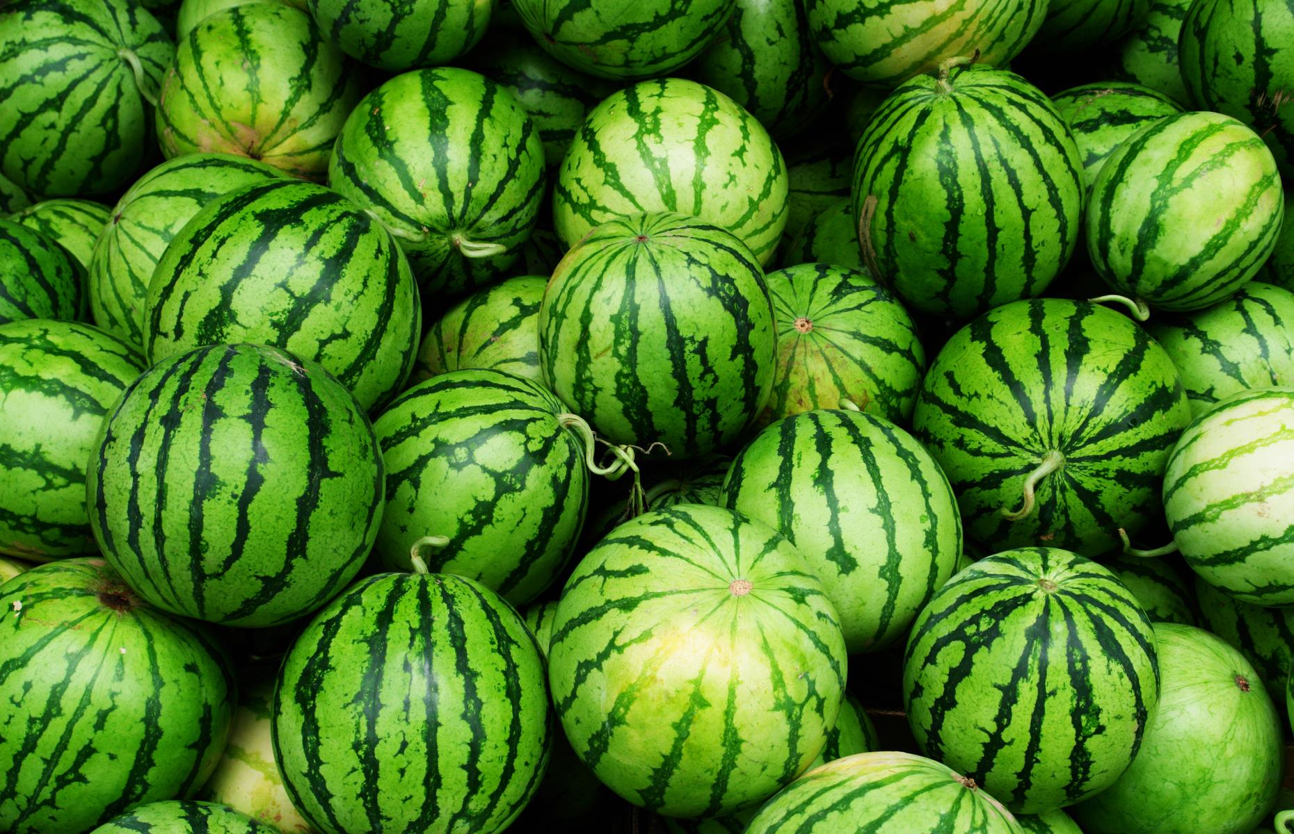 Oklahoma: watermelon