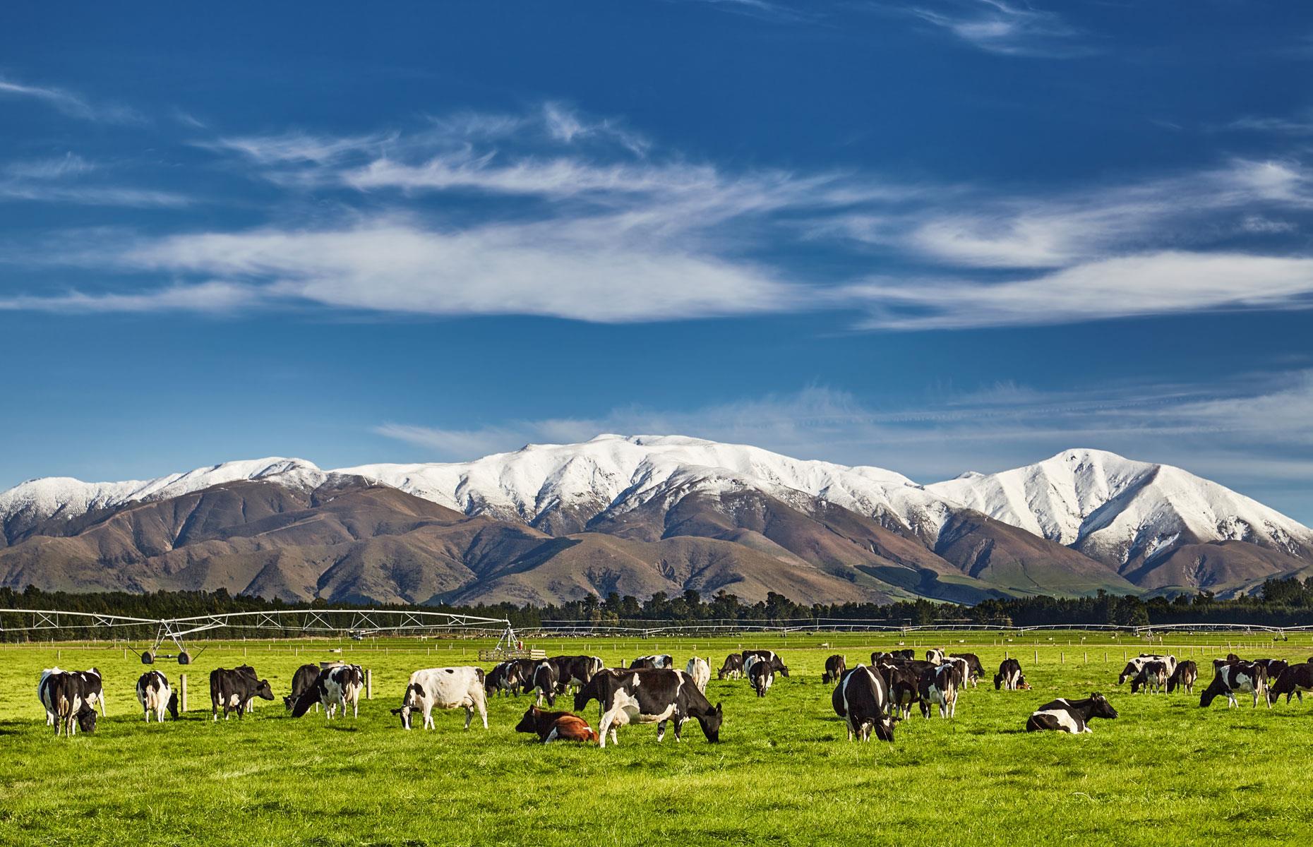 New Zealand