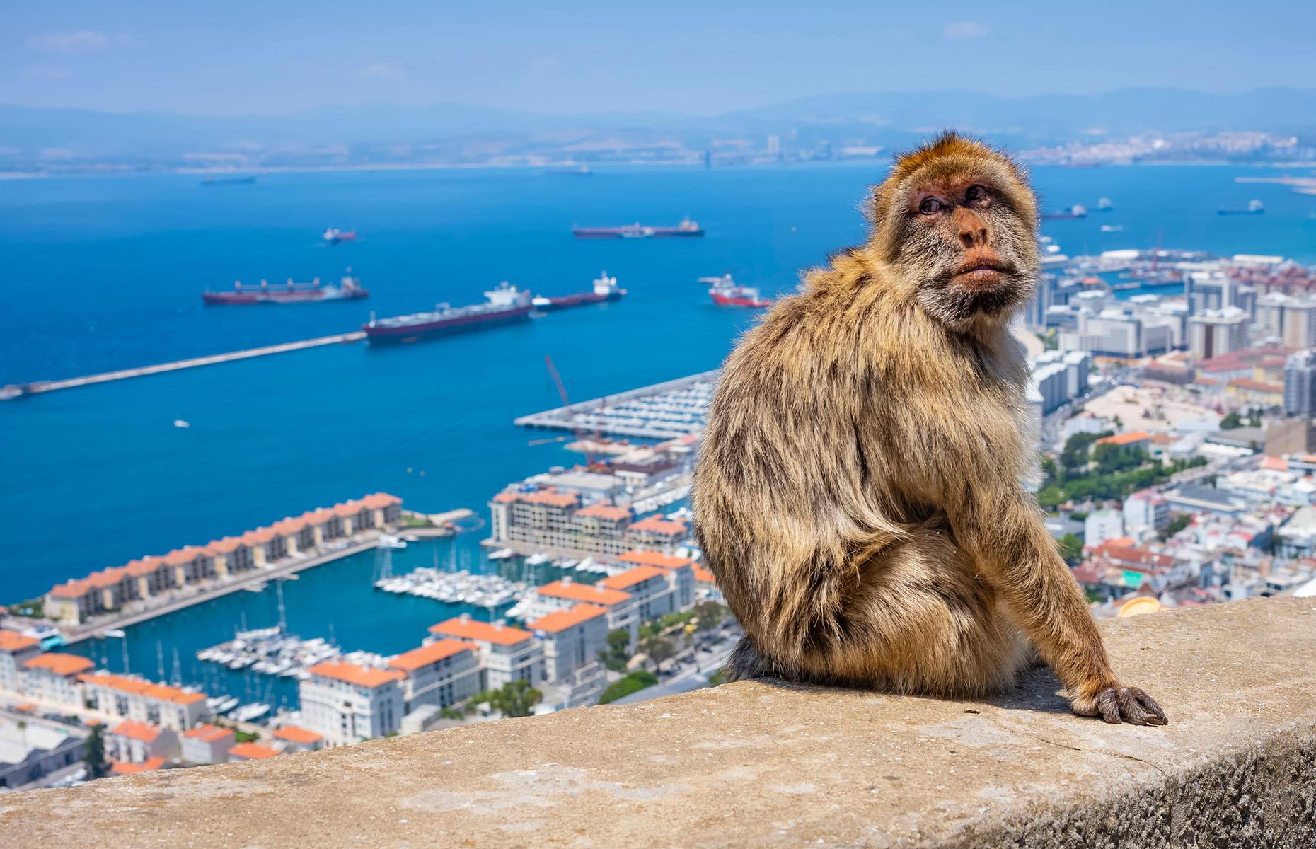 Gibraltar