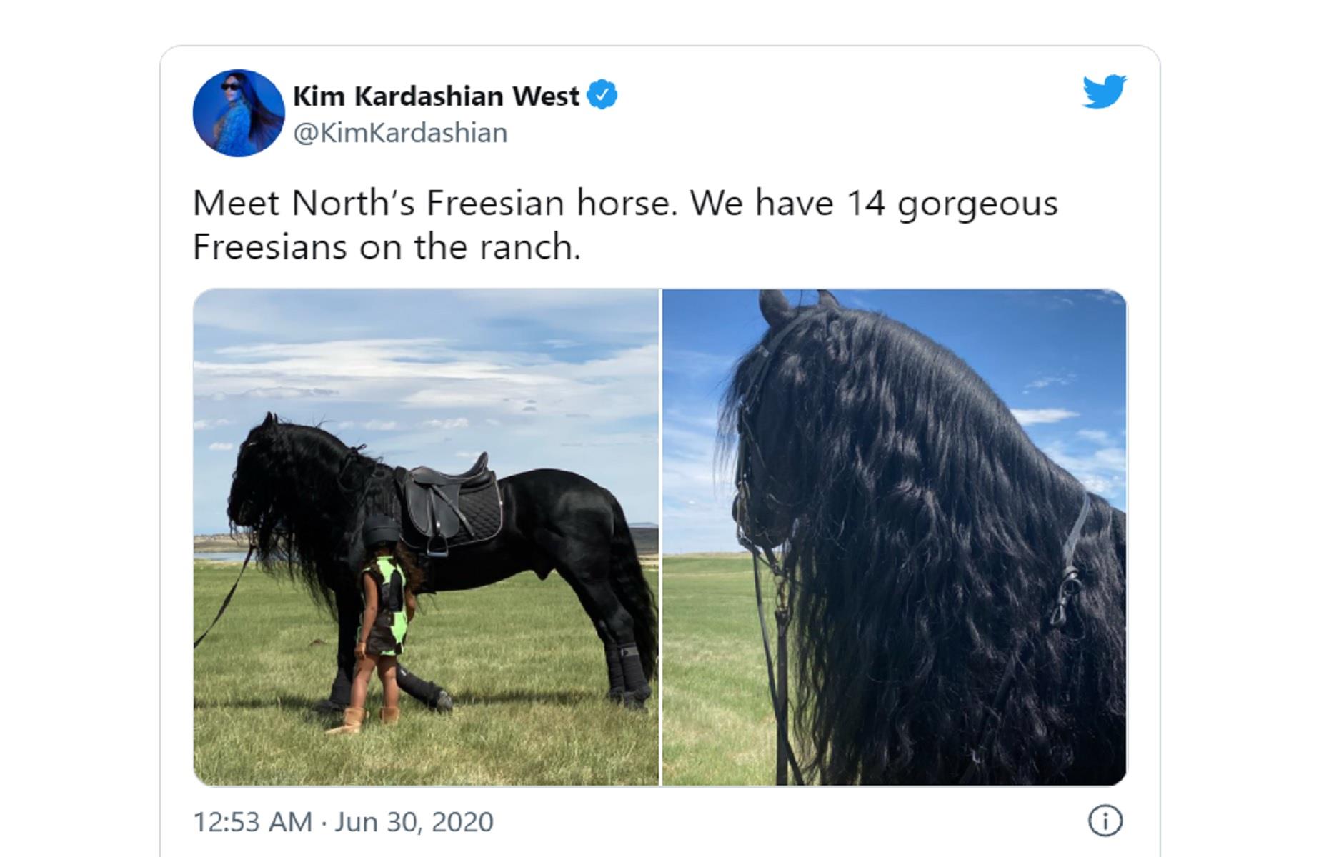Kim Kardashian's Friesian horses: up to $8.4 million (£6.3m)