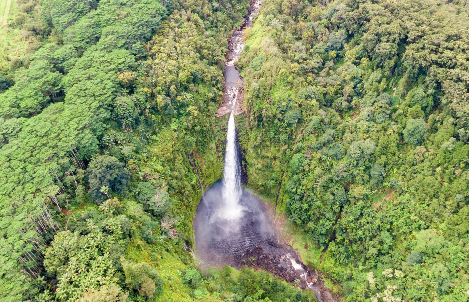 Akaka waterfall, Akaka Falls State Park, Hawaii