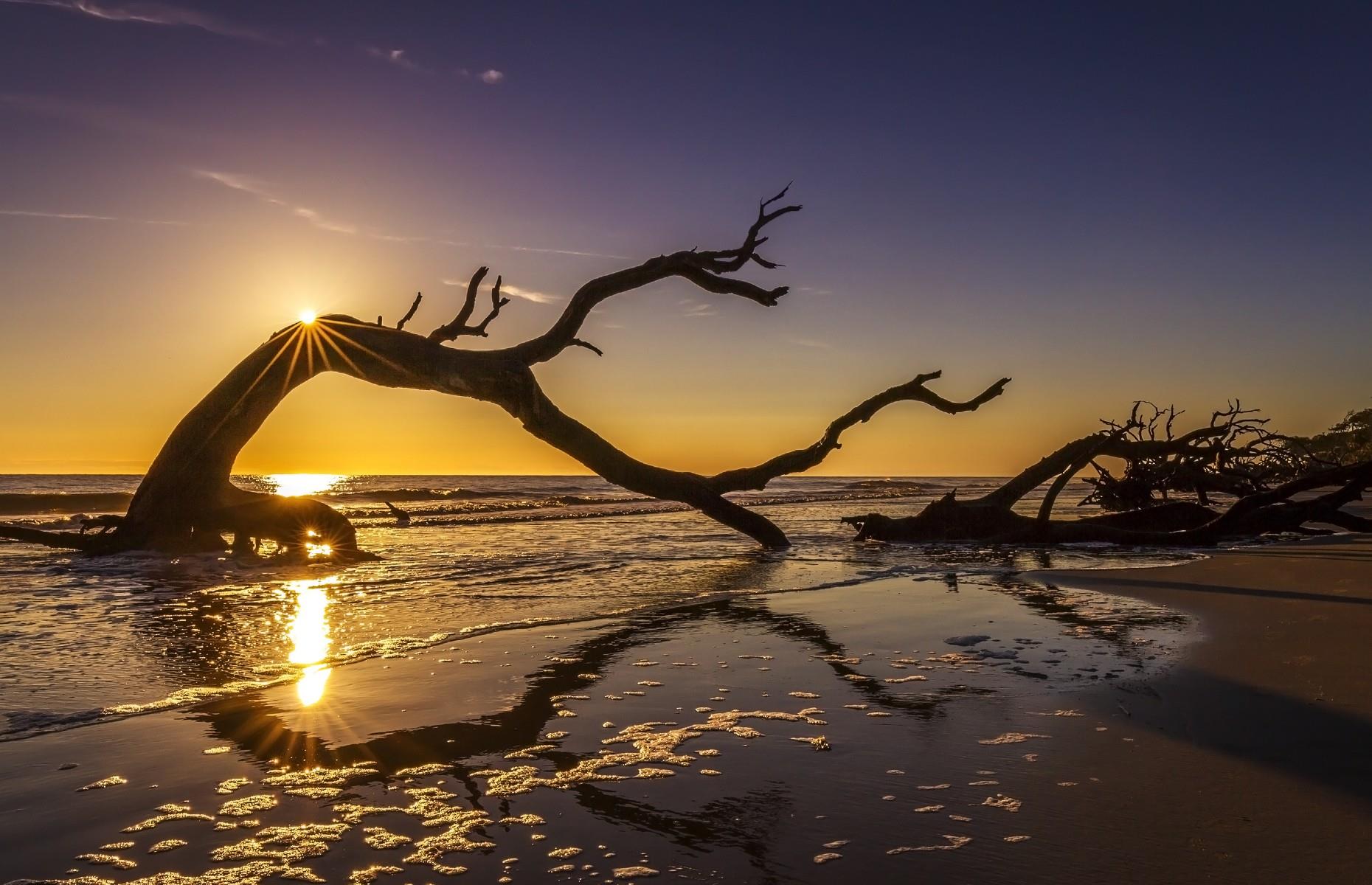 6. Driftwood Beach, Jekyll Island, Georgia 