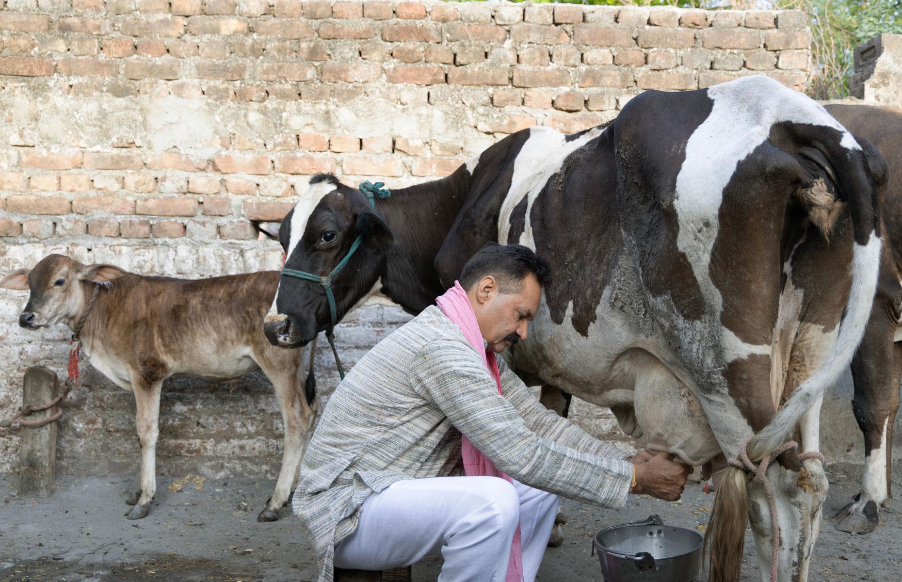 India: $0.69 (£0.55)
