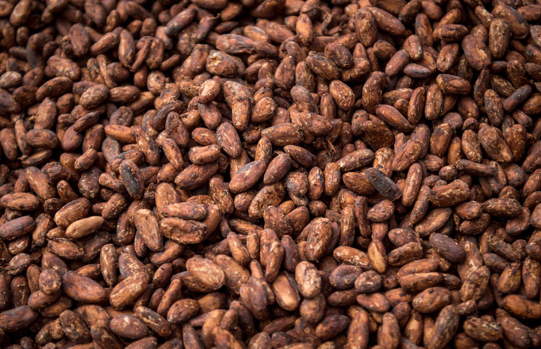 When cacao became cocoa