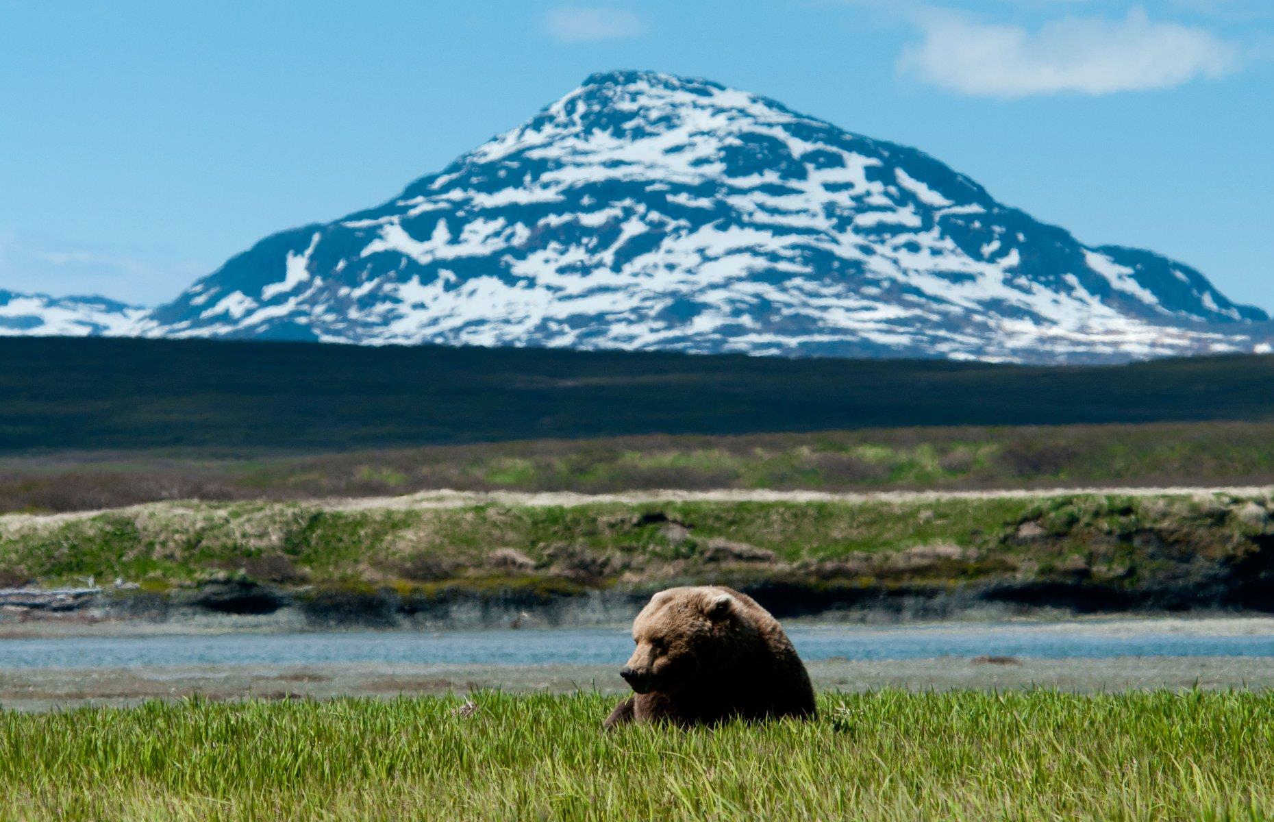 McNeil River Sanctuary, McNeil River State Game Sanctuary, Alaska