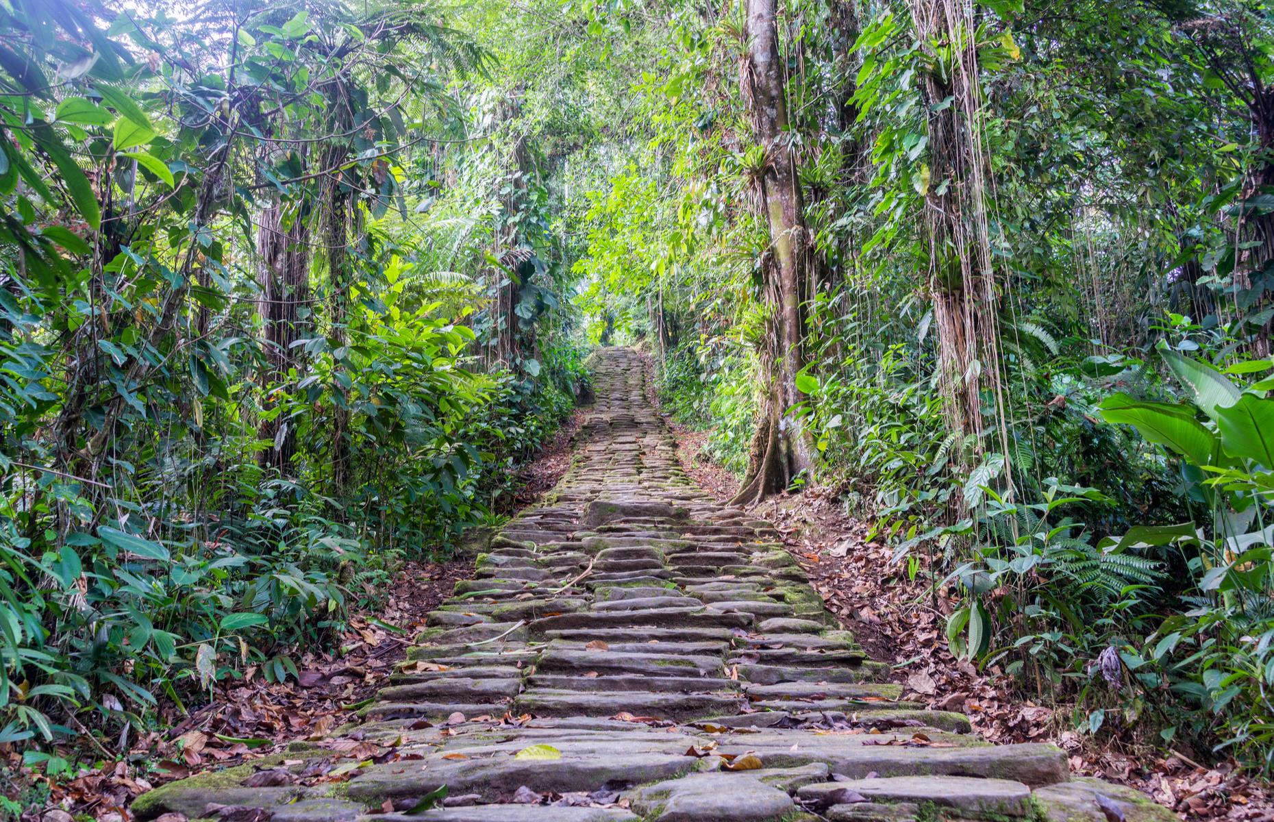 The Lost City, Colombia, 1972