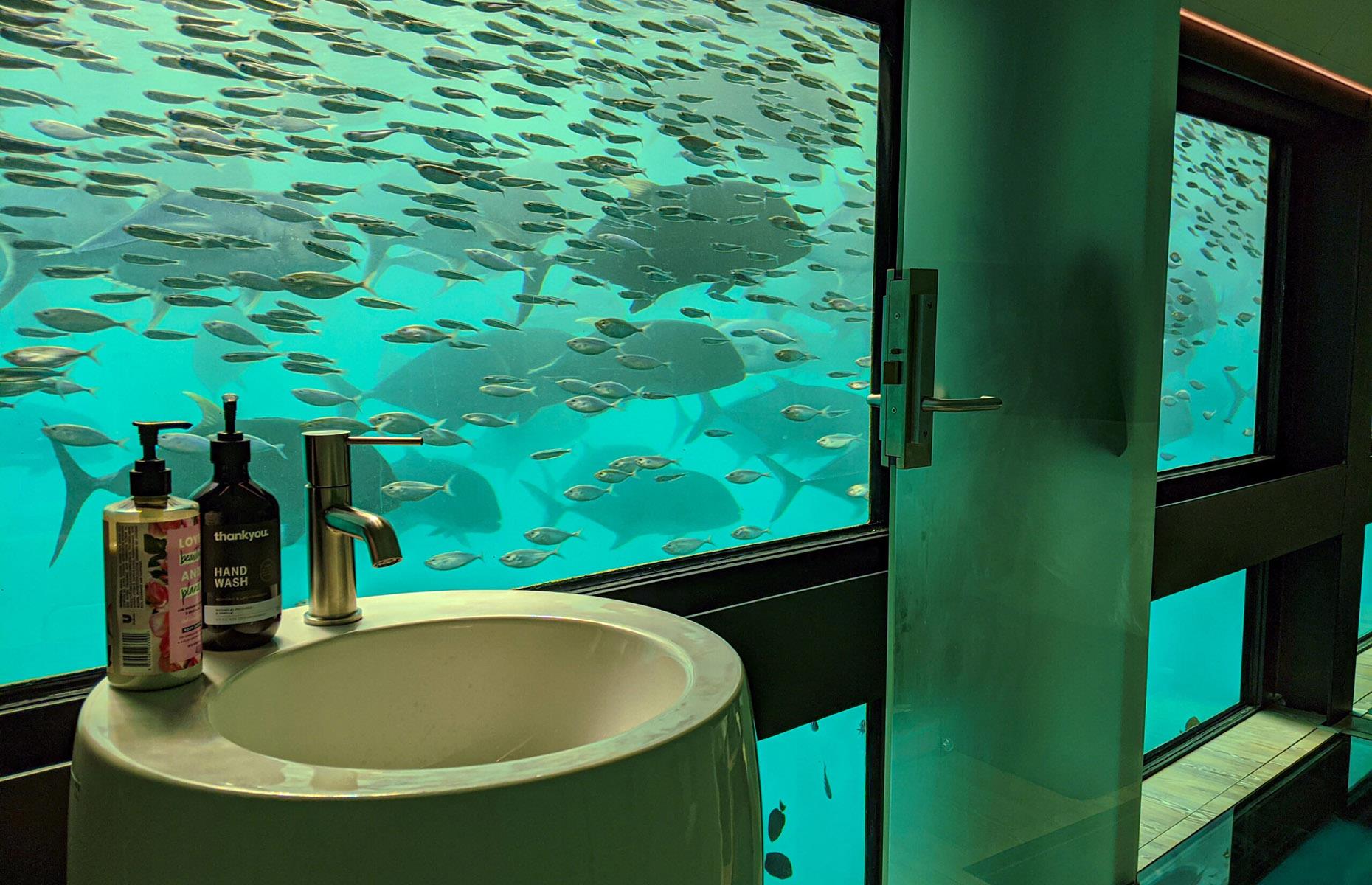 Reefsuites, Grande Barrière de corail, Australie