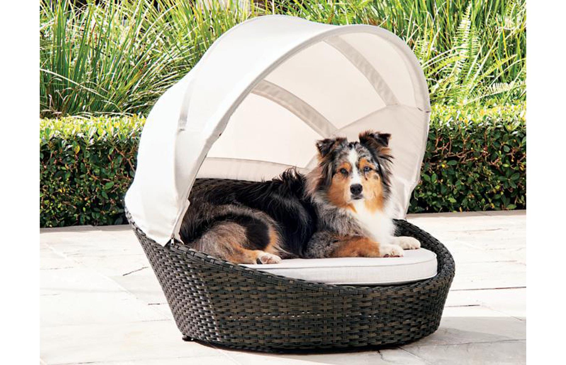 Sunbrella dog bed
