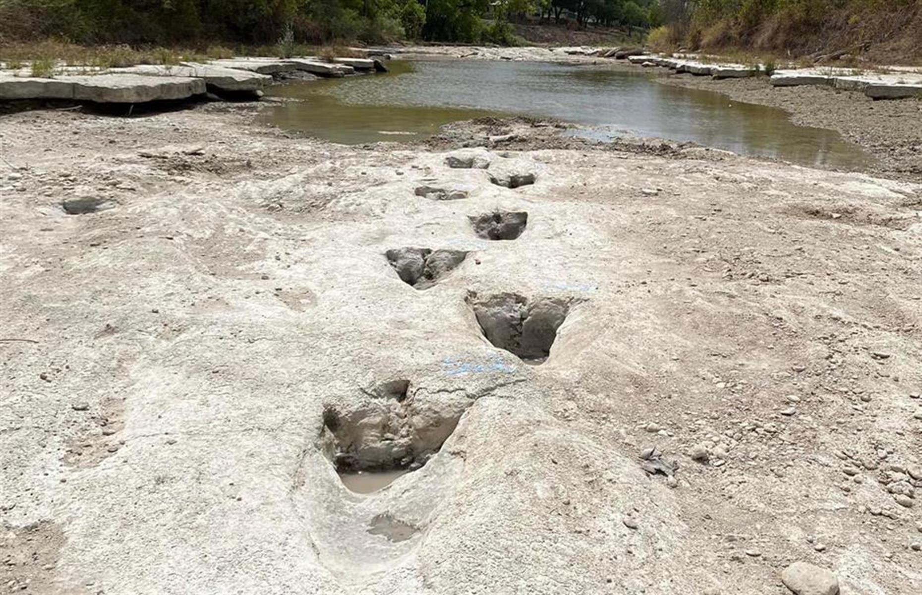 Dinosaurier-Fußspuren, Texas, USA