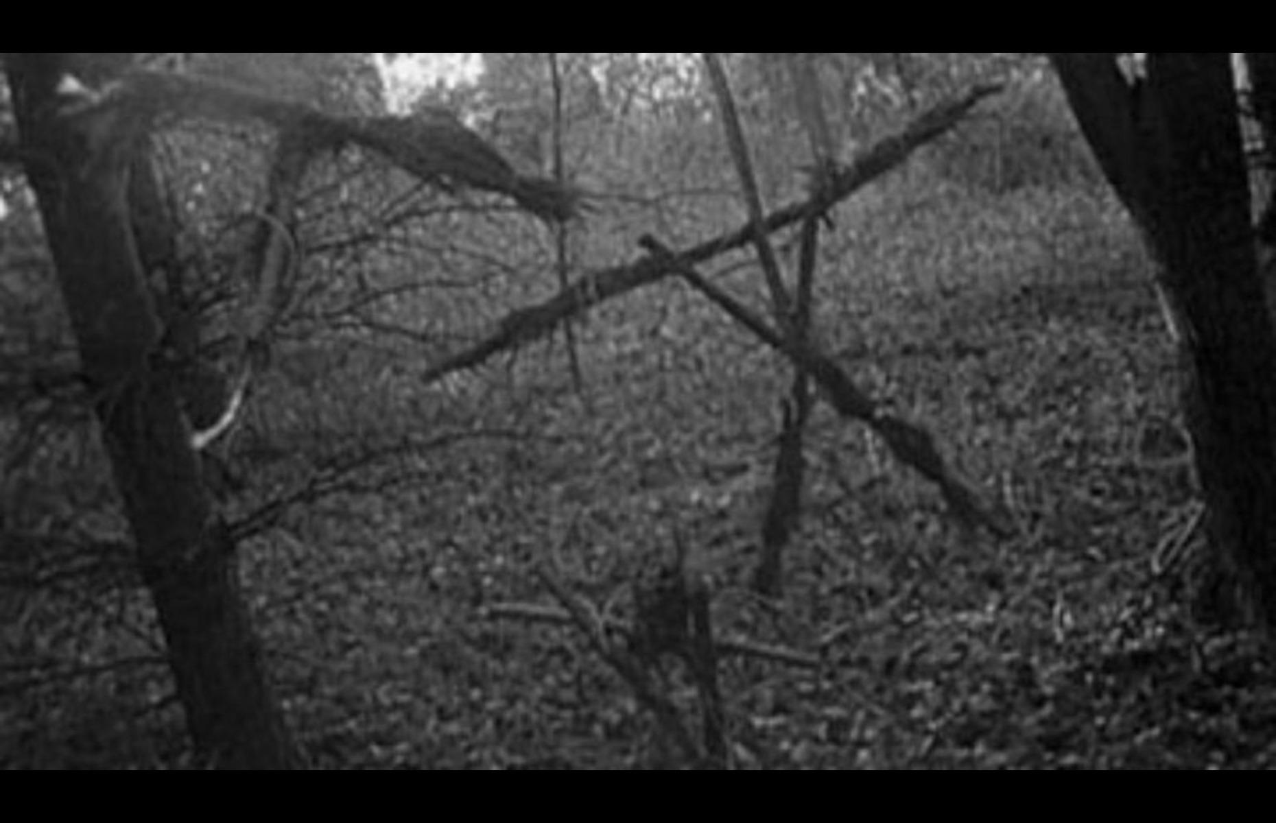 The Blair Witch Project: made $450.5 million (£356.4m)
