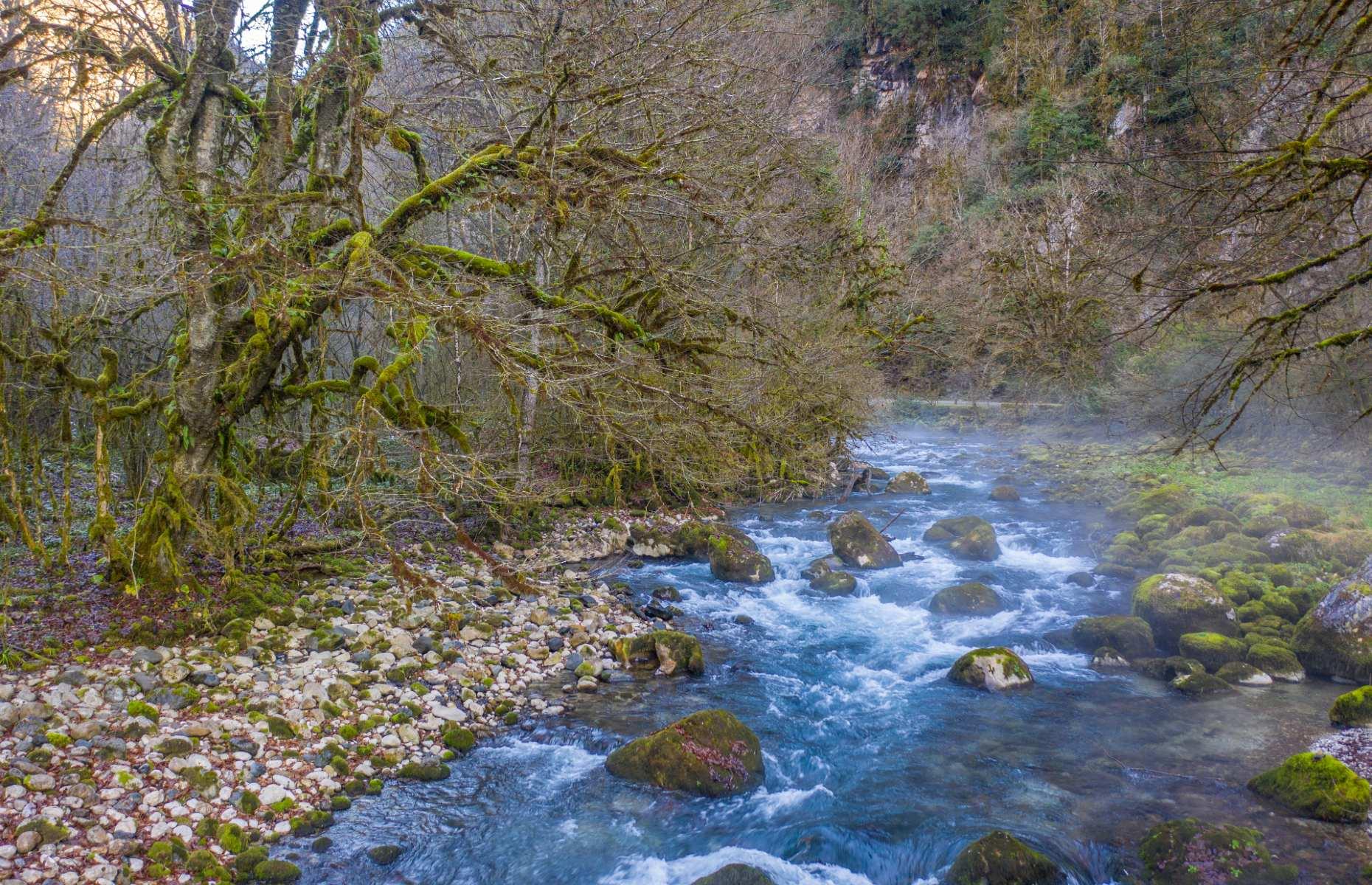 Colchic Rainforests and Wetlands, Georgia
