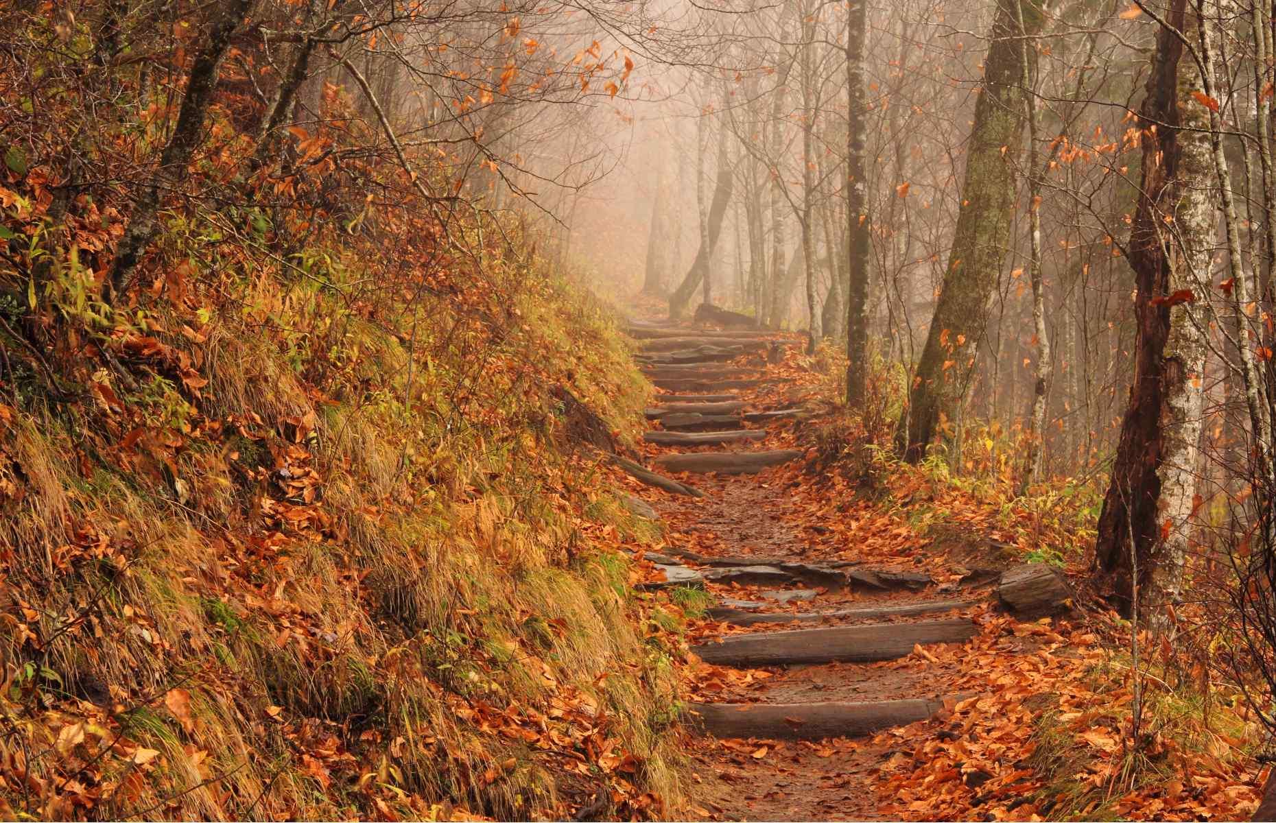 There are 150 walking trails