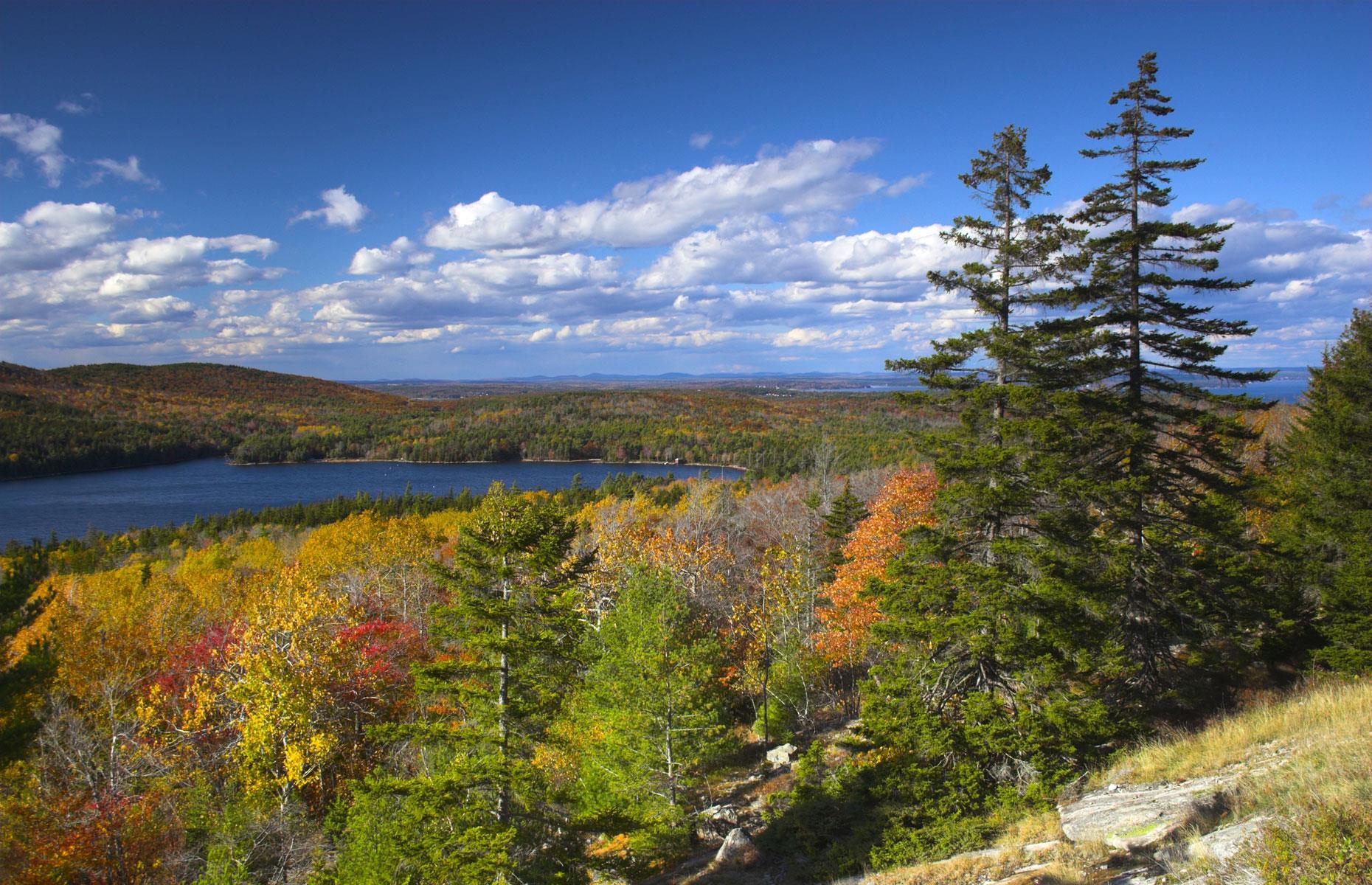 11. Pingree heirs: 830,000 acres