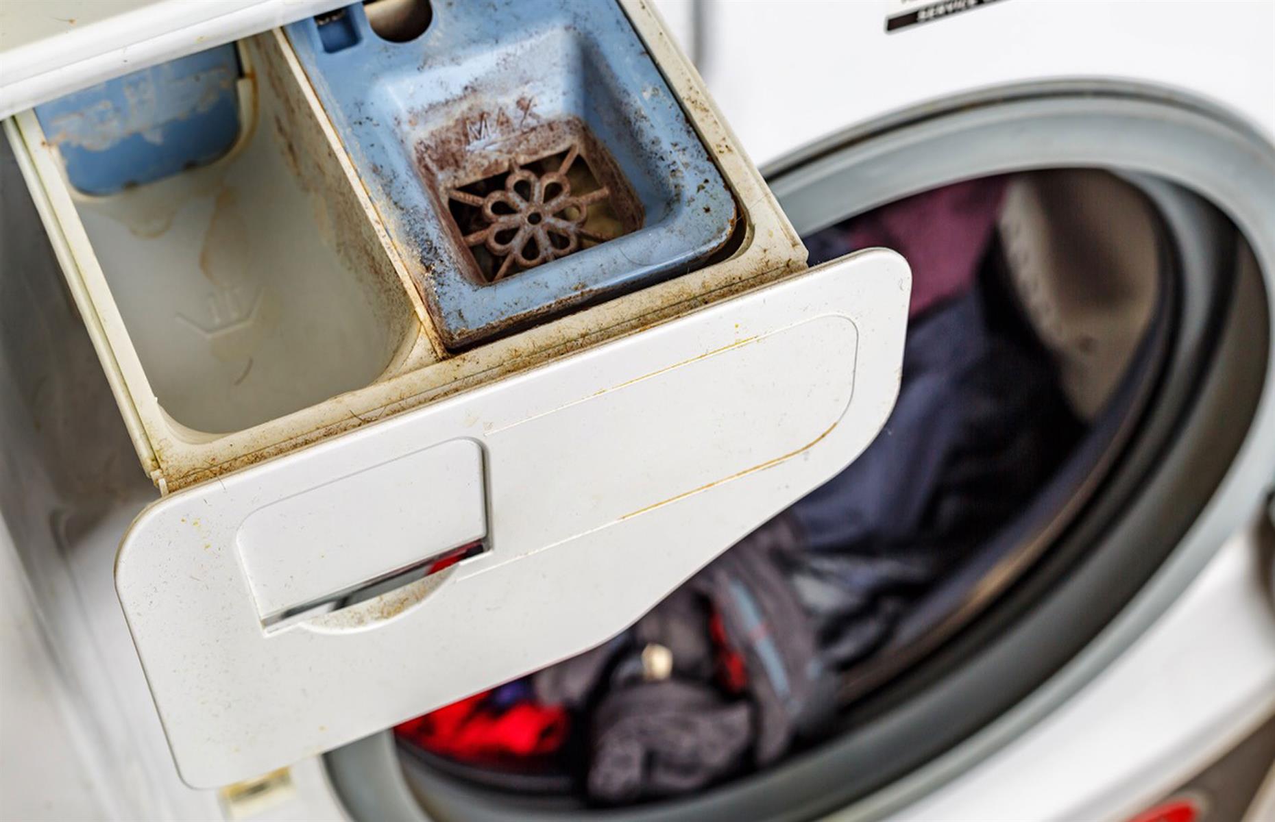 Wash out the washing machine