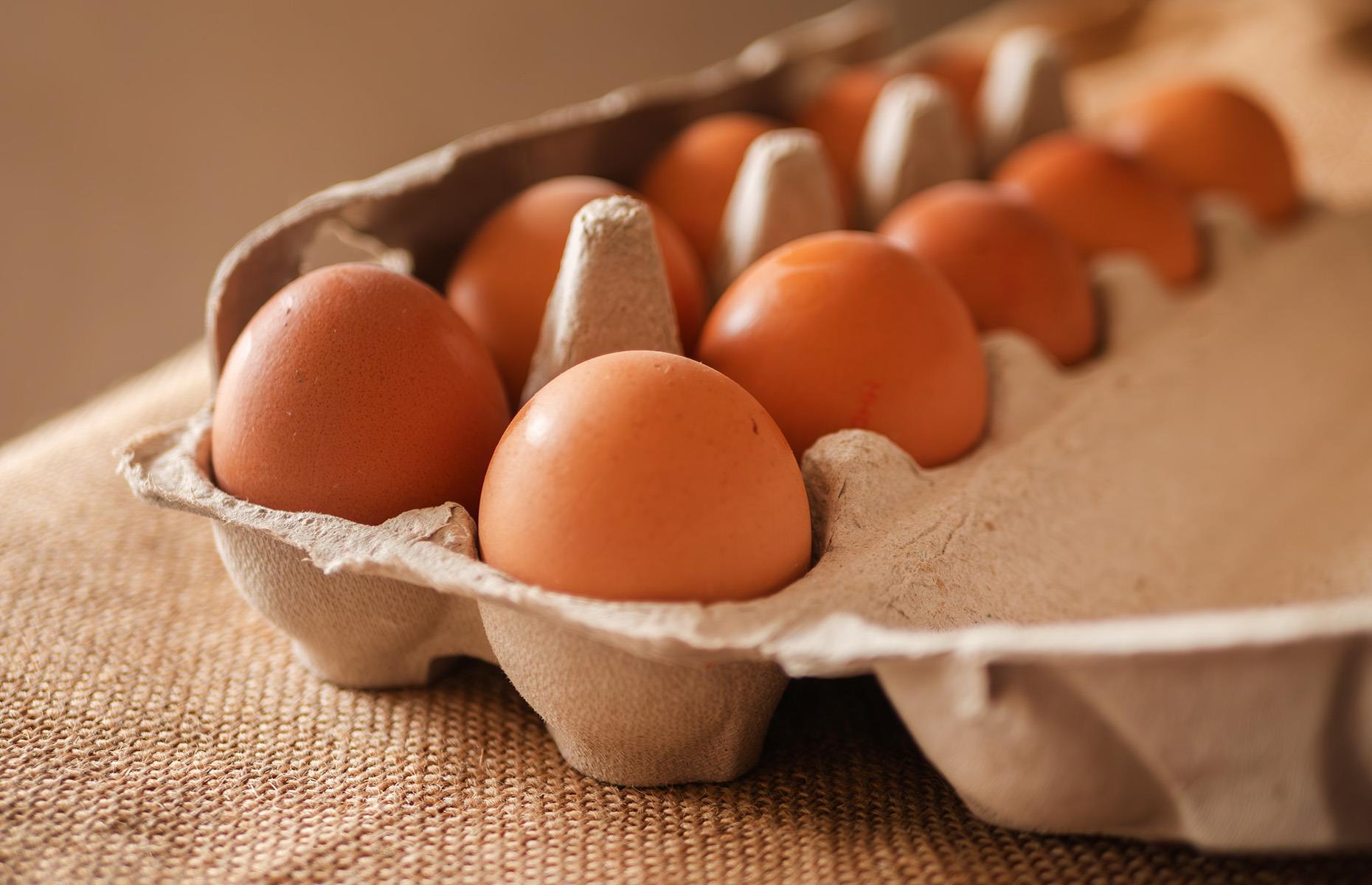 Egg carton (1911)