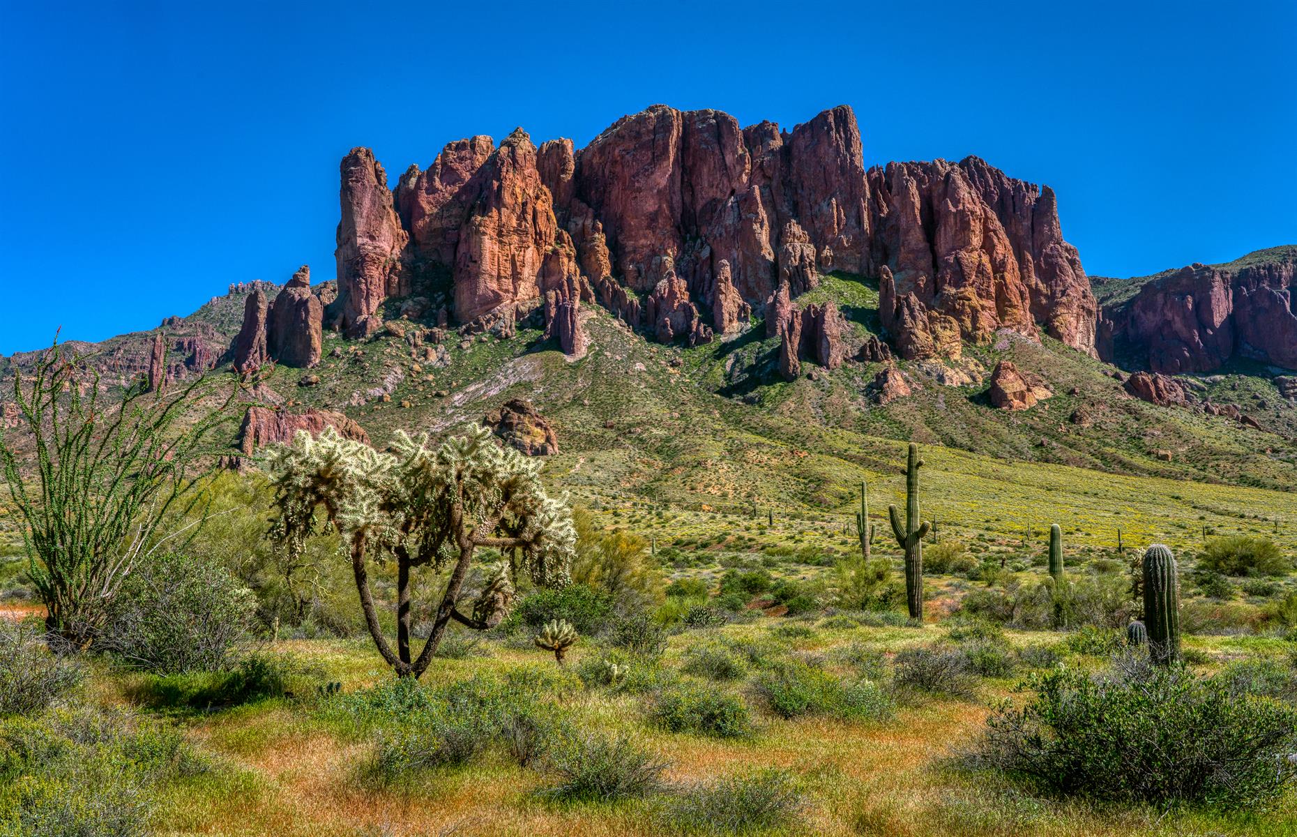 Arizona
