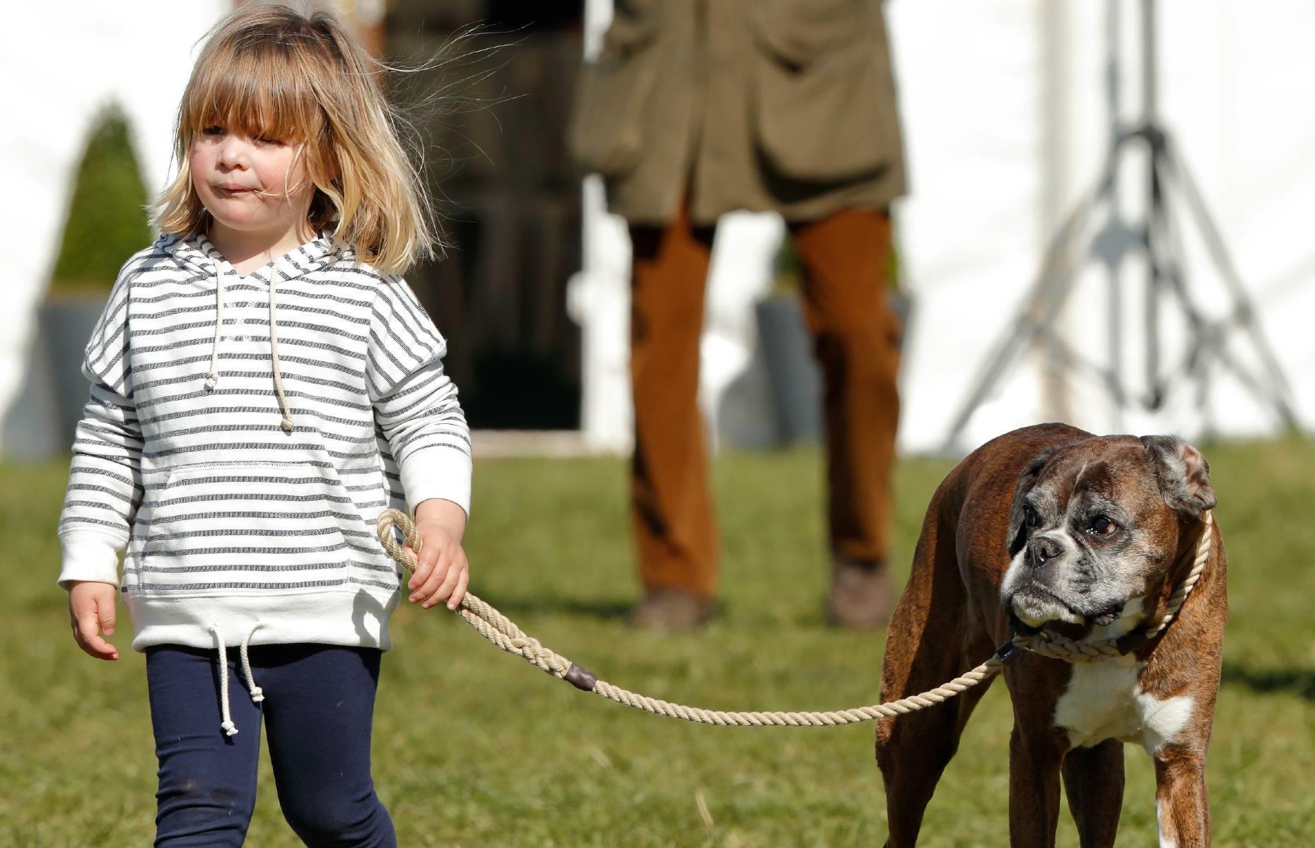 Zara and Mike Tindall’s movie hero dogs