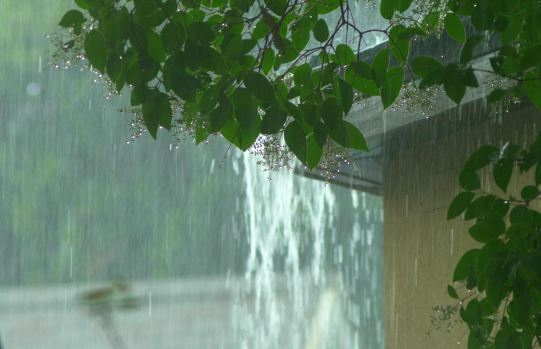 Wasting water