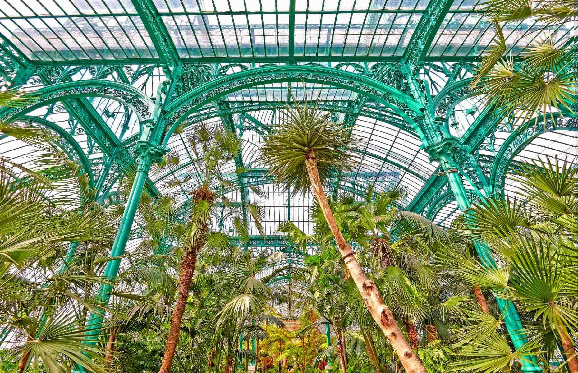 The most beautiful greenhouses on the planet, ranked | loveexploring.com, image size:1860x1200