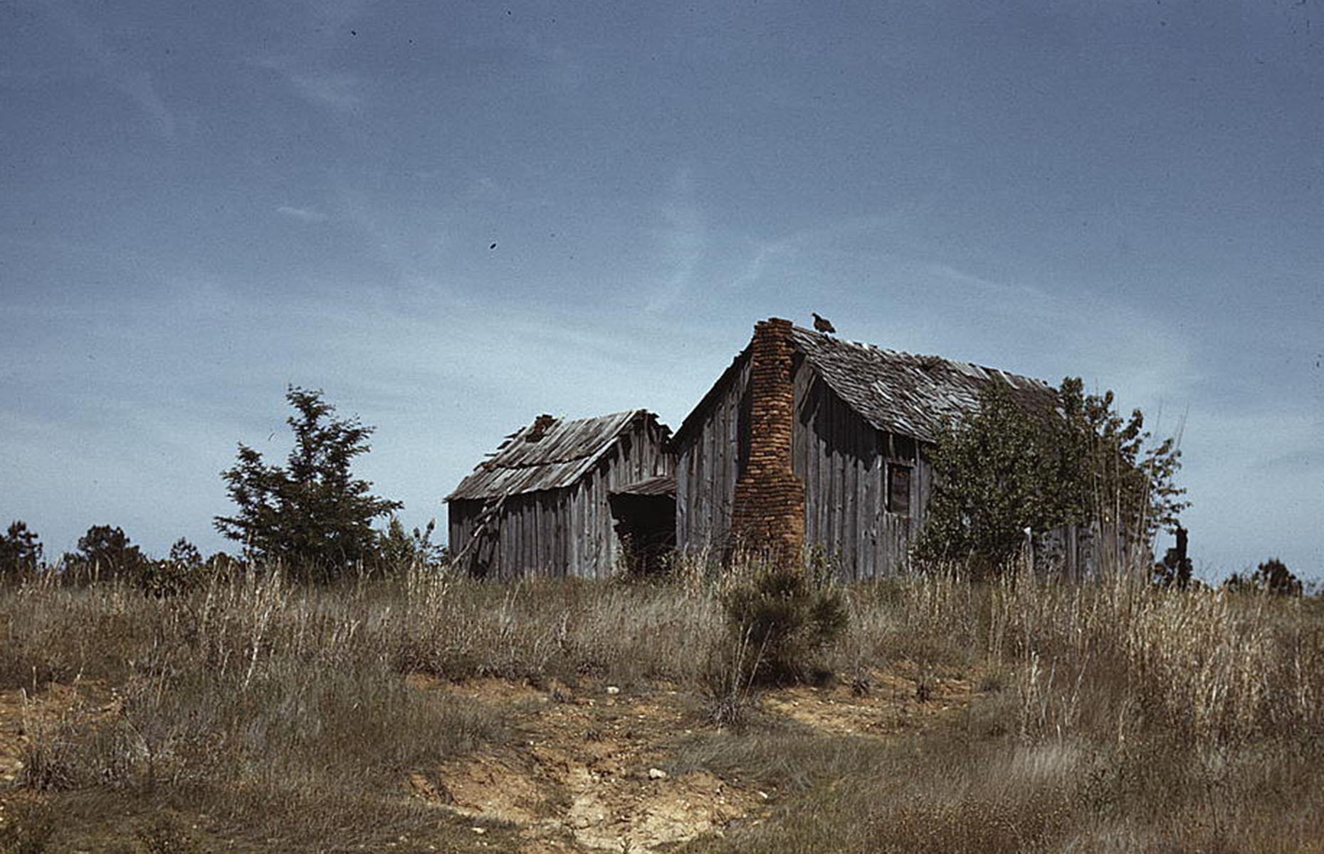 Abandoned cabin in the American South