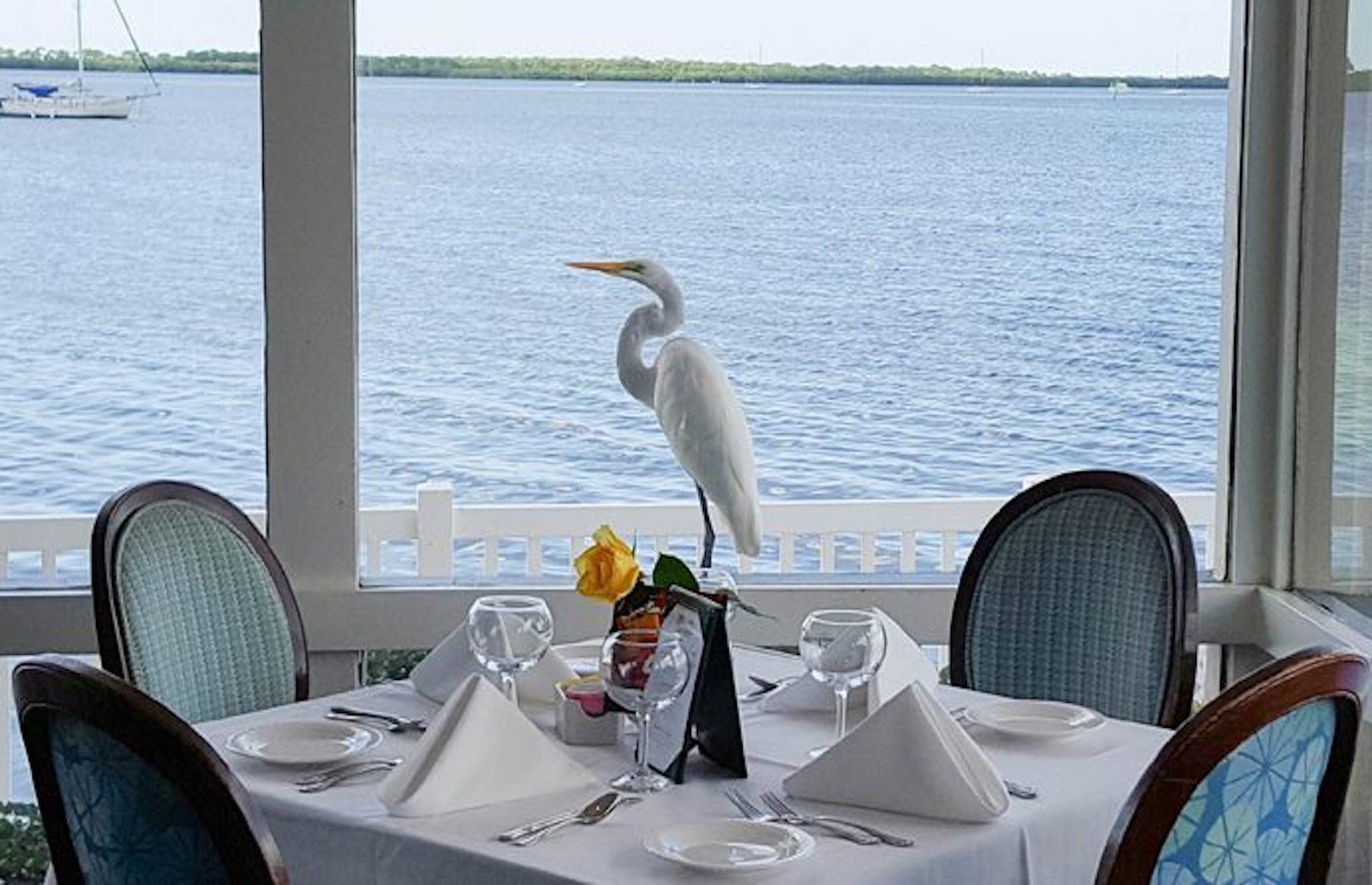 Bon Appetit, Dunedin, Florida