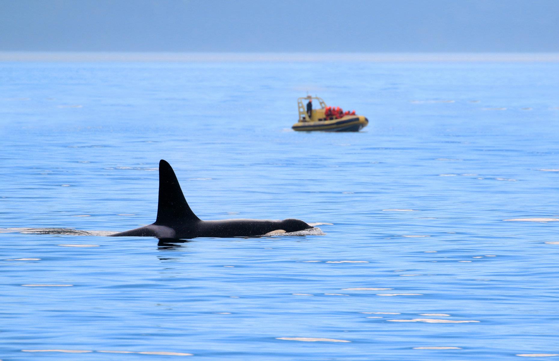 14. Victoria, British Columbia