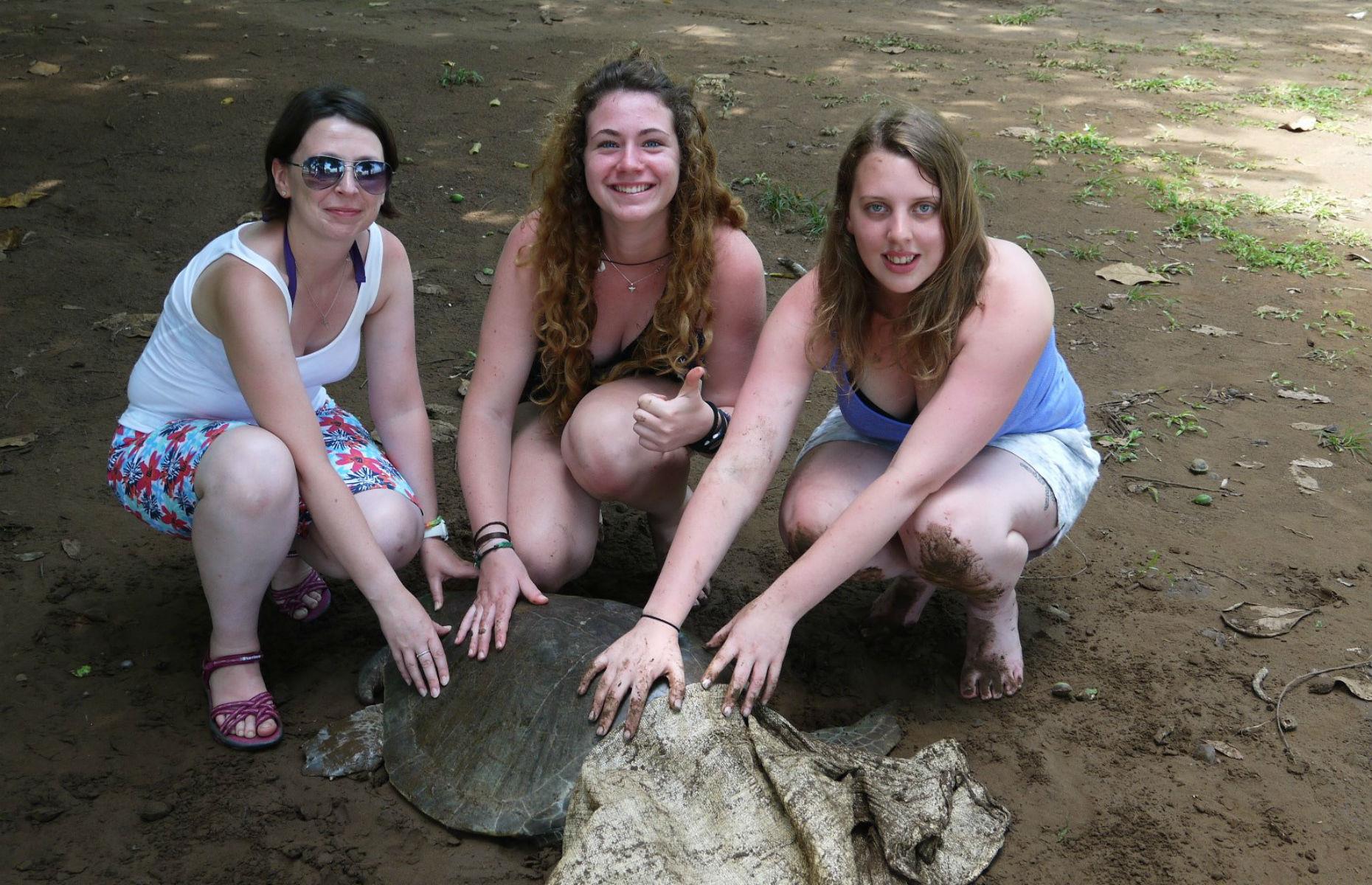Working with animals