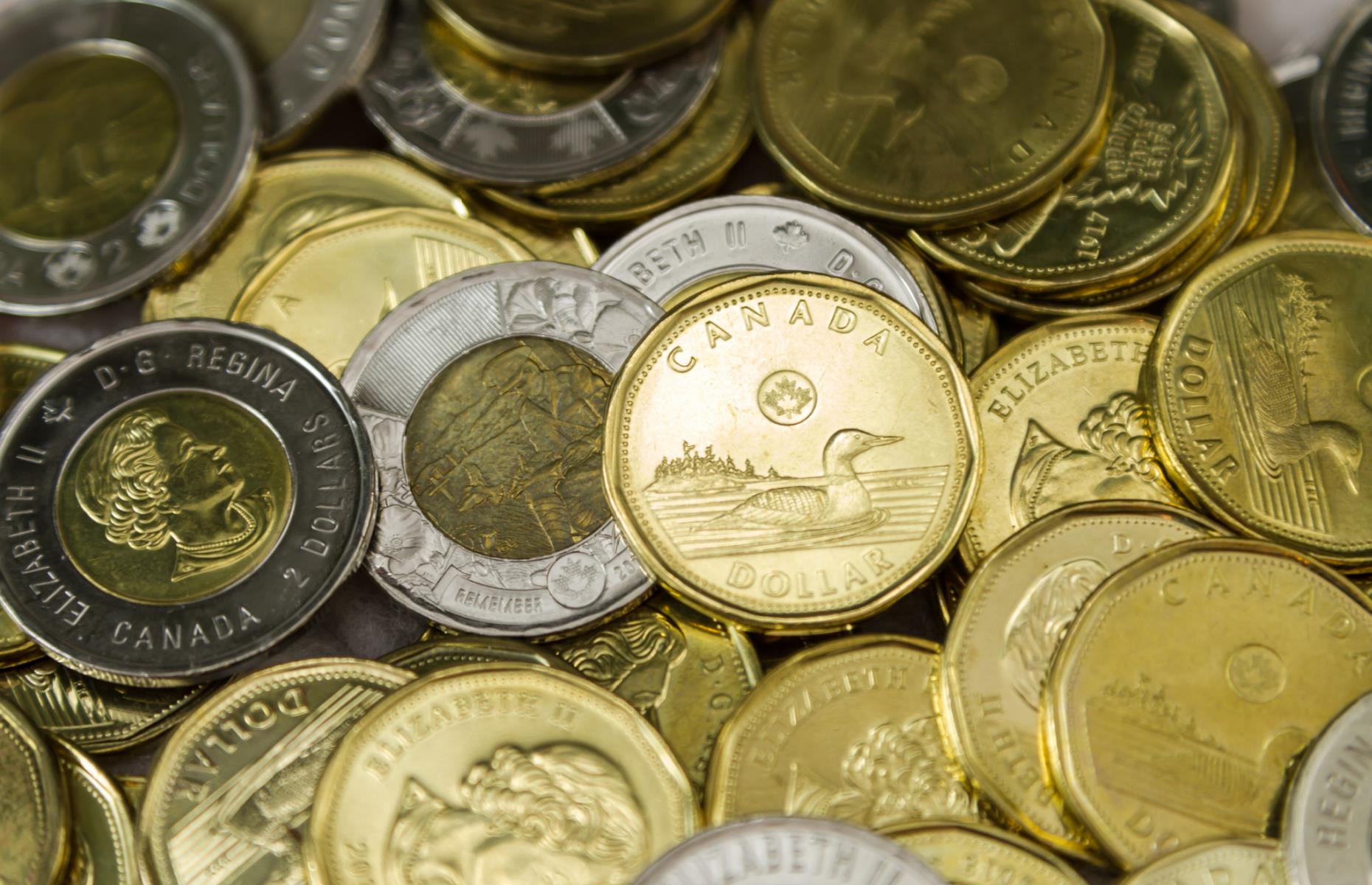 Canadians call their coins loonies and toonies