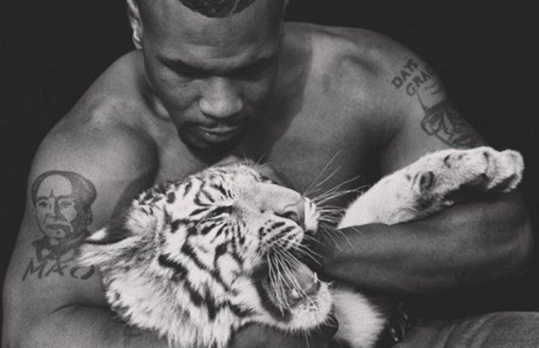 Тайсон майк фото с тигром